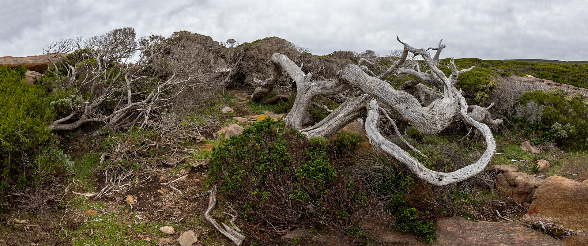 Margaret River, West Australia