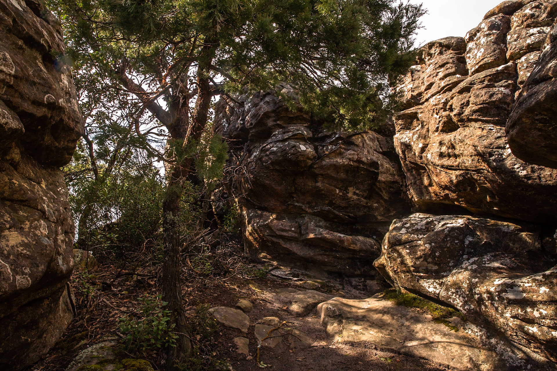 Mt Rosea circuit, Hall's Gap, The Grampians, Victoria