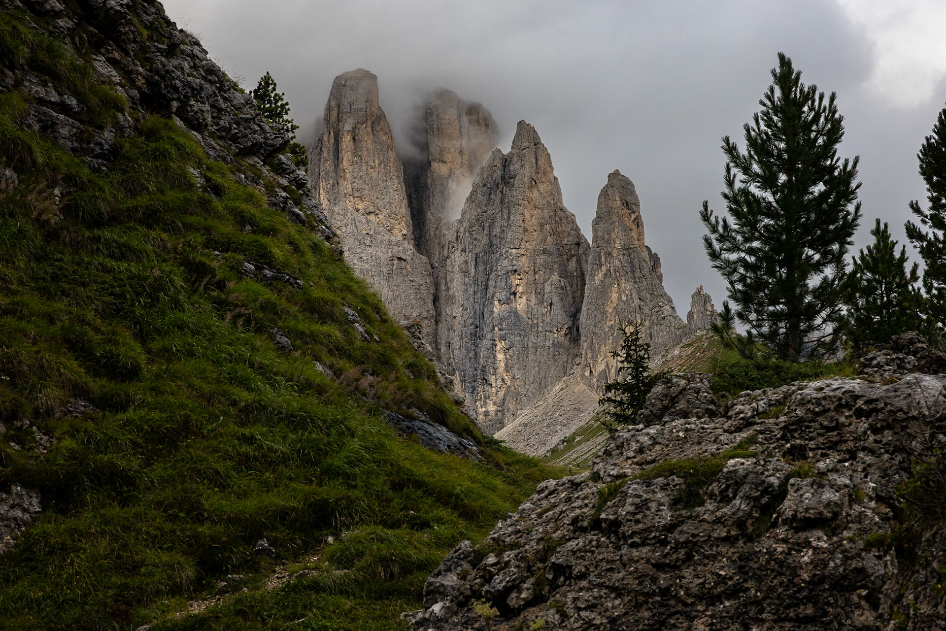Passo Sella, Sassolungo, Selva di Val Gardena, Dolomites, South Tyrol, Italy