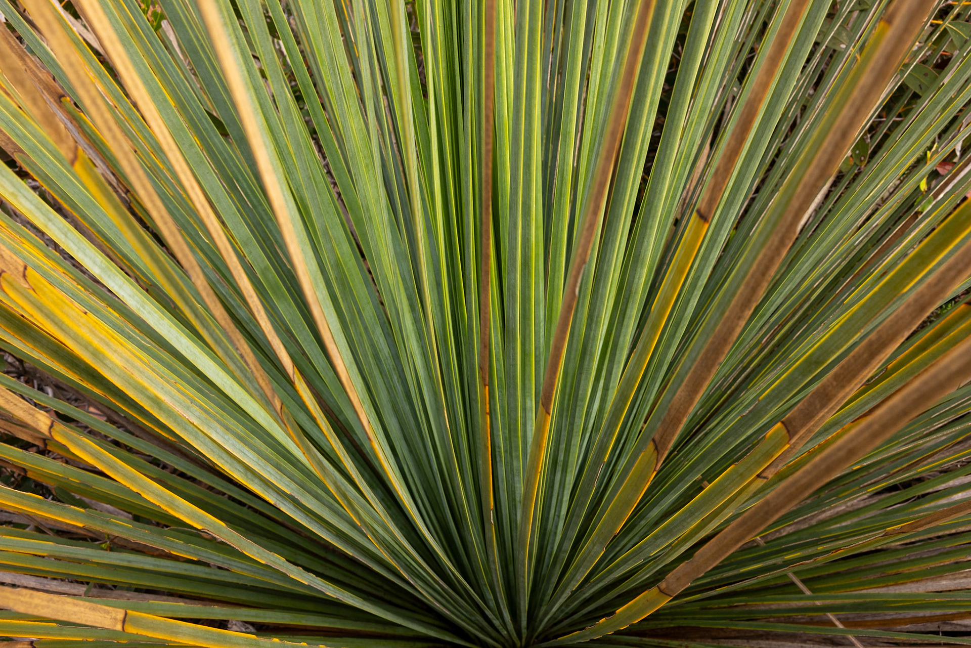 Kangaroo Island, South Australia