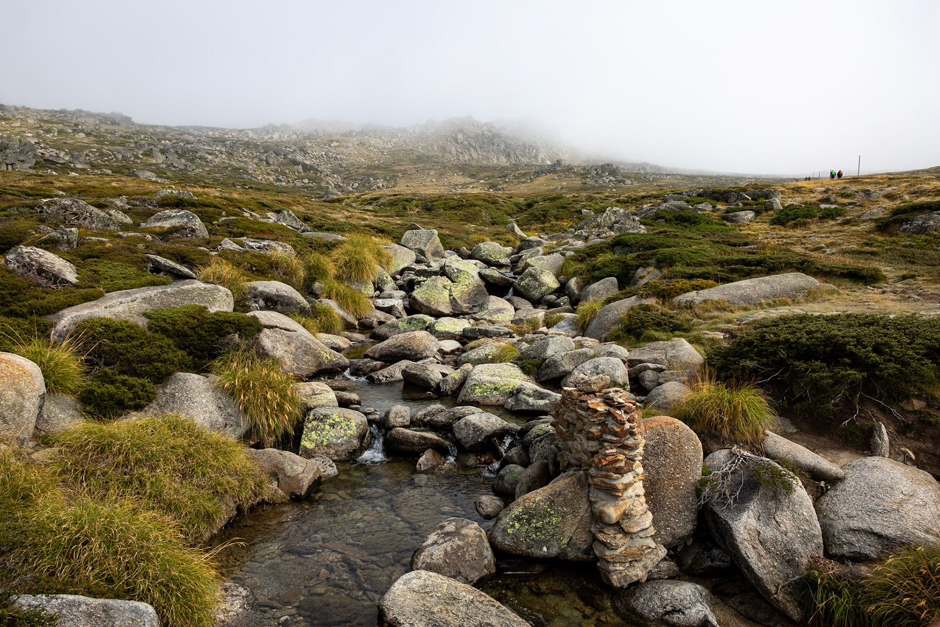 Thredbo to Kosciuszko Summit, Snowy Mountains Mountains, New South Wales, Australia