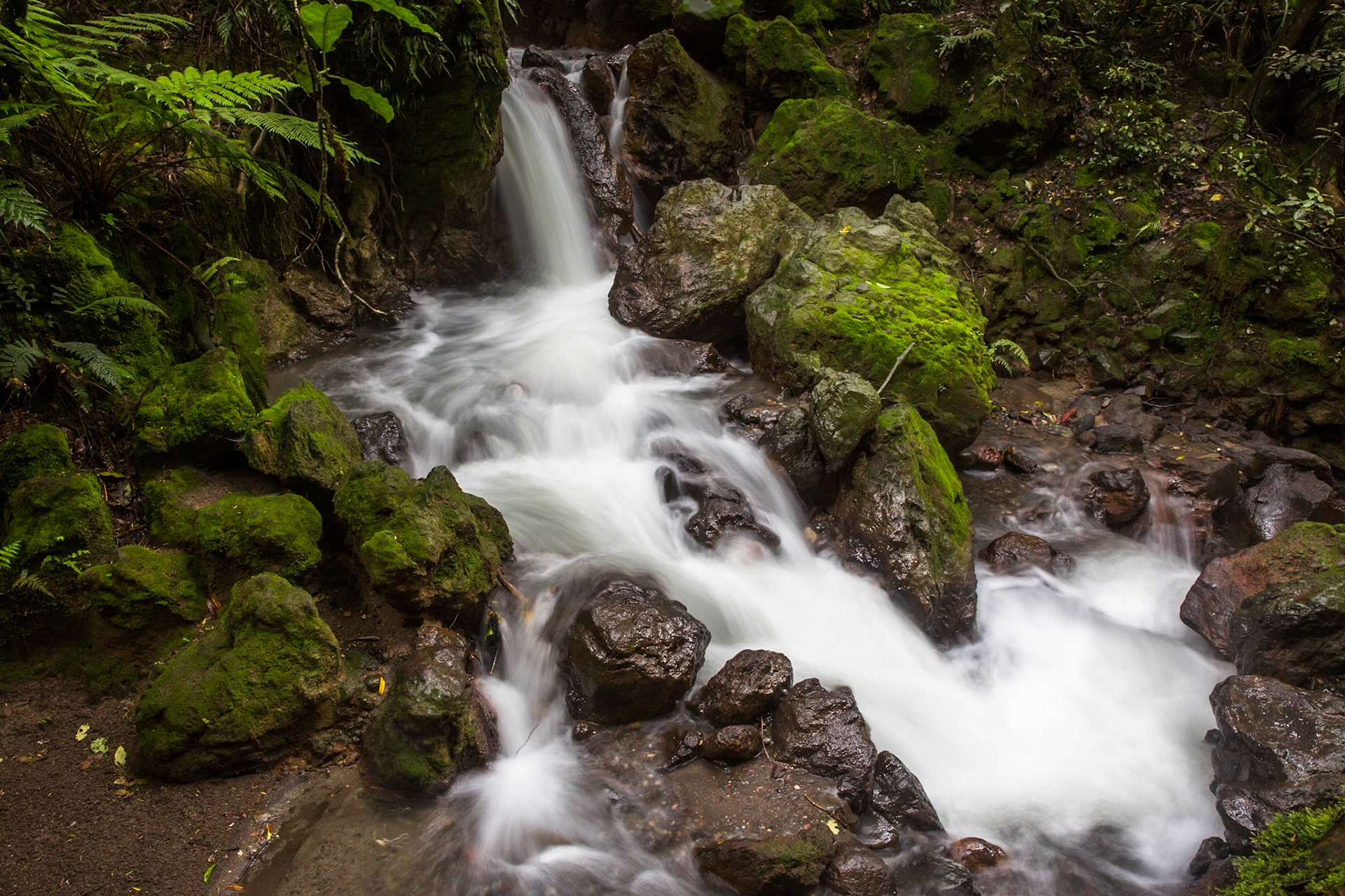 Tongariro Alpine Crossing, New Zealand