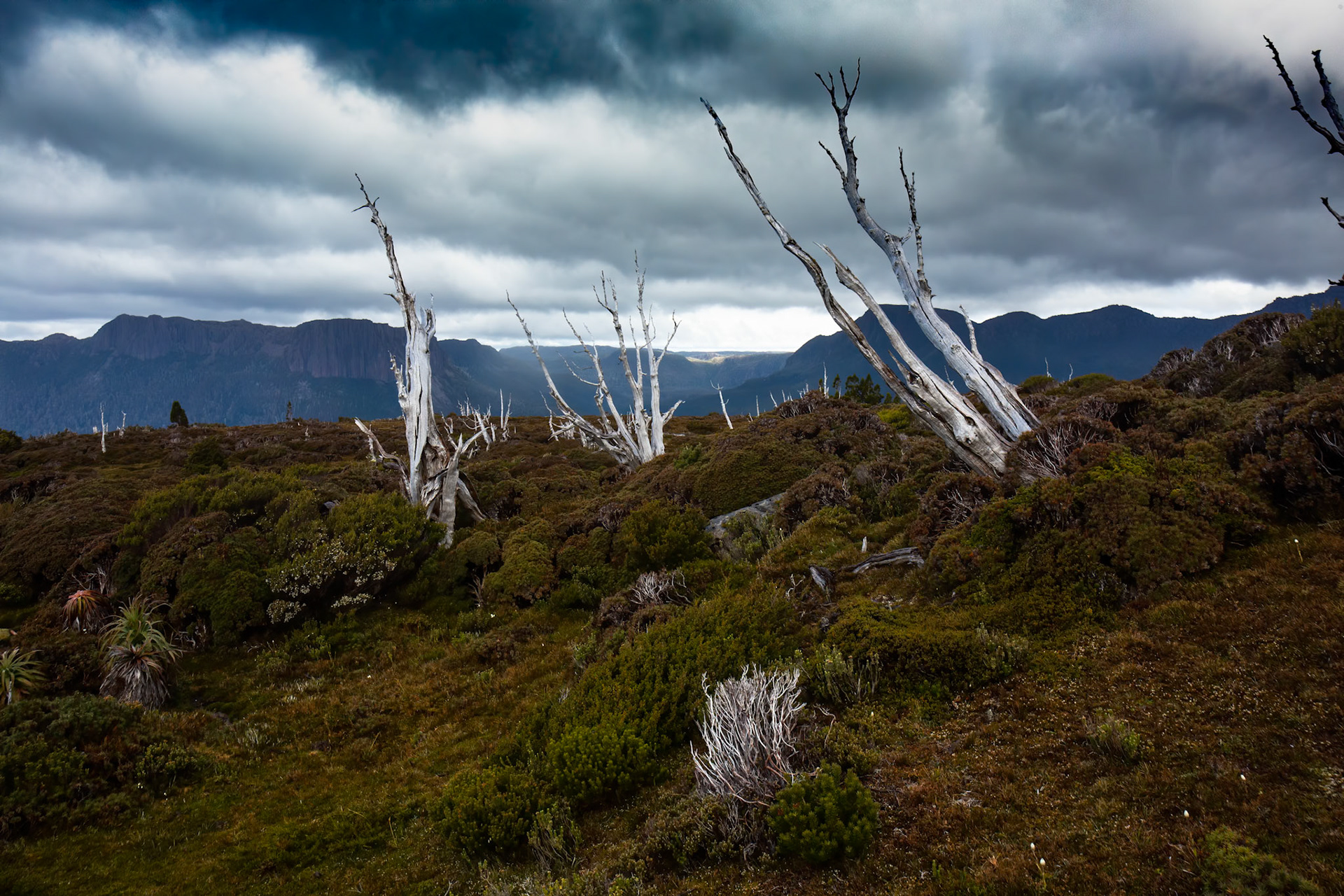 Pelion to Kia Ora, The Overland Track, Cradle Mountain- Lake St Clair National Park, Tasmania.