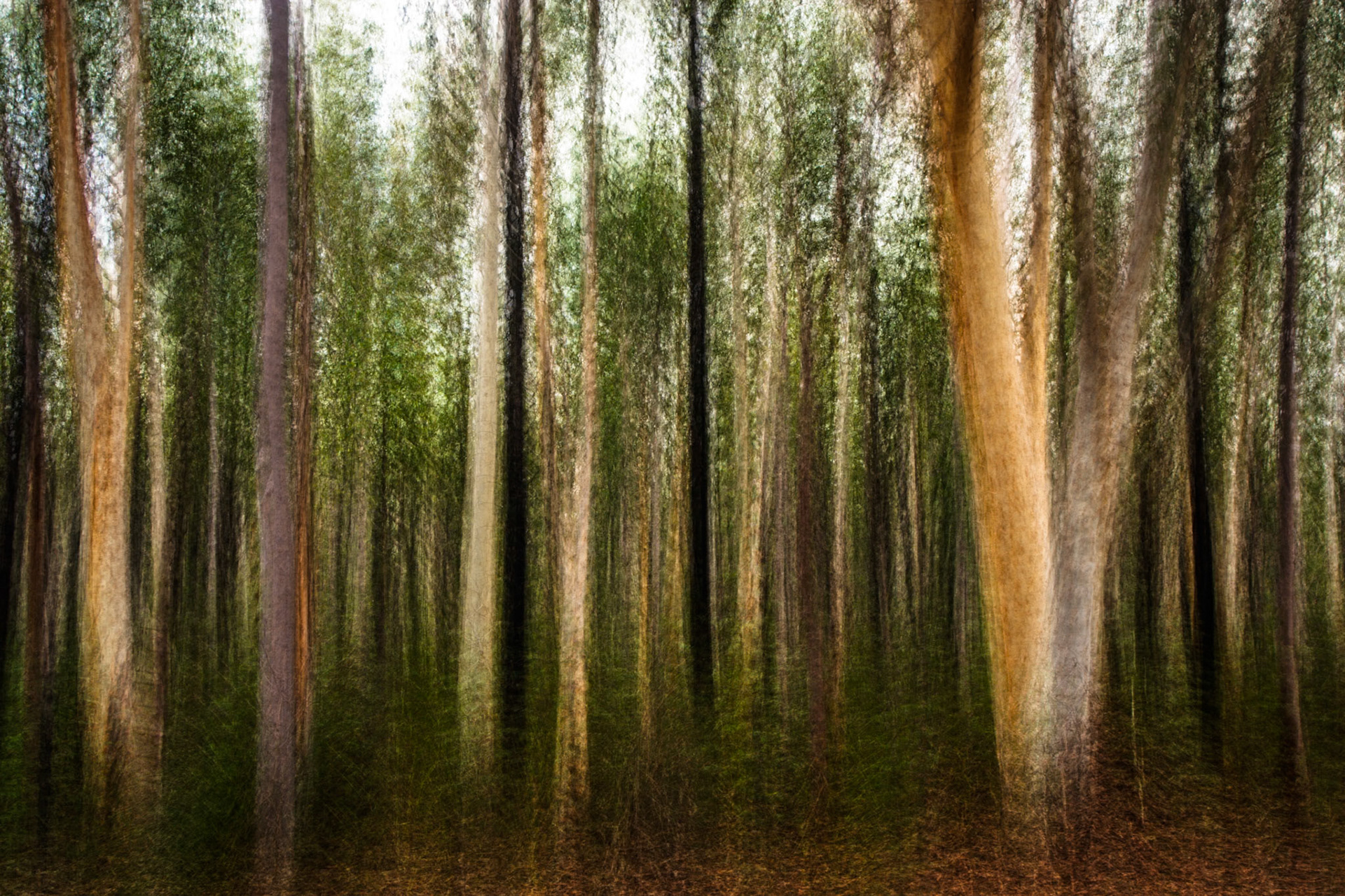 Newcastle, New South Wales, Australia