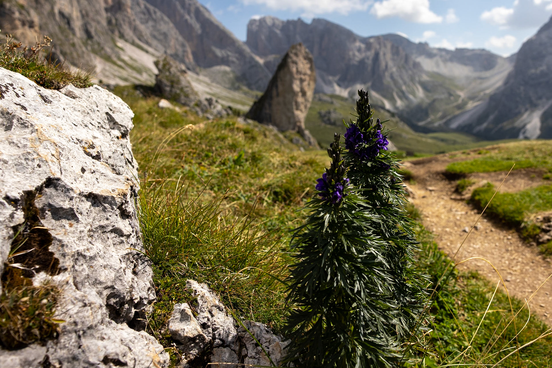 Seceda, Refugio Firenze, Selva di Val Gardena