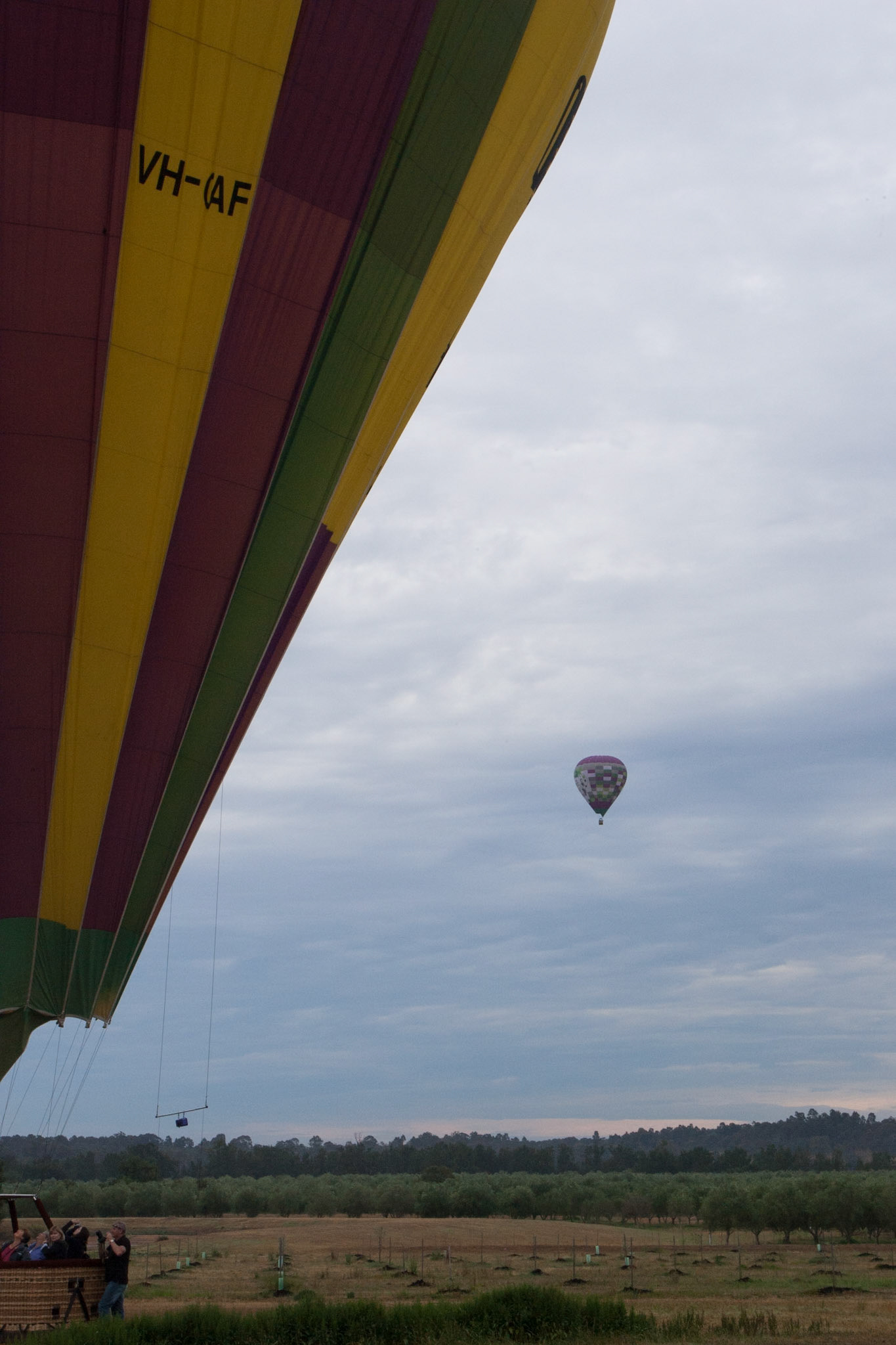 Hot air balloon ride in the Hunter Valley, New South Wales.