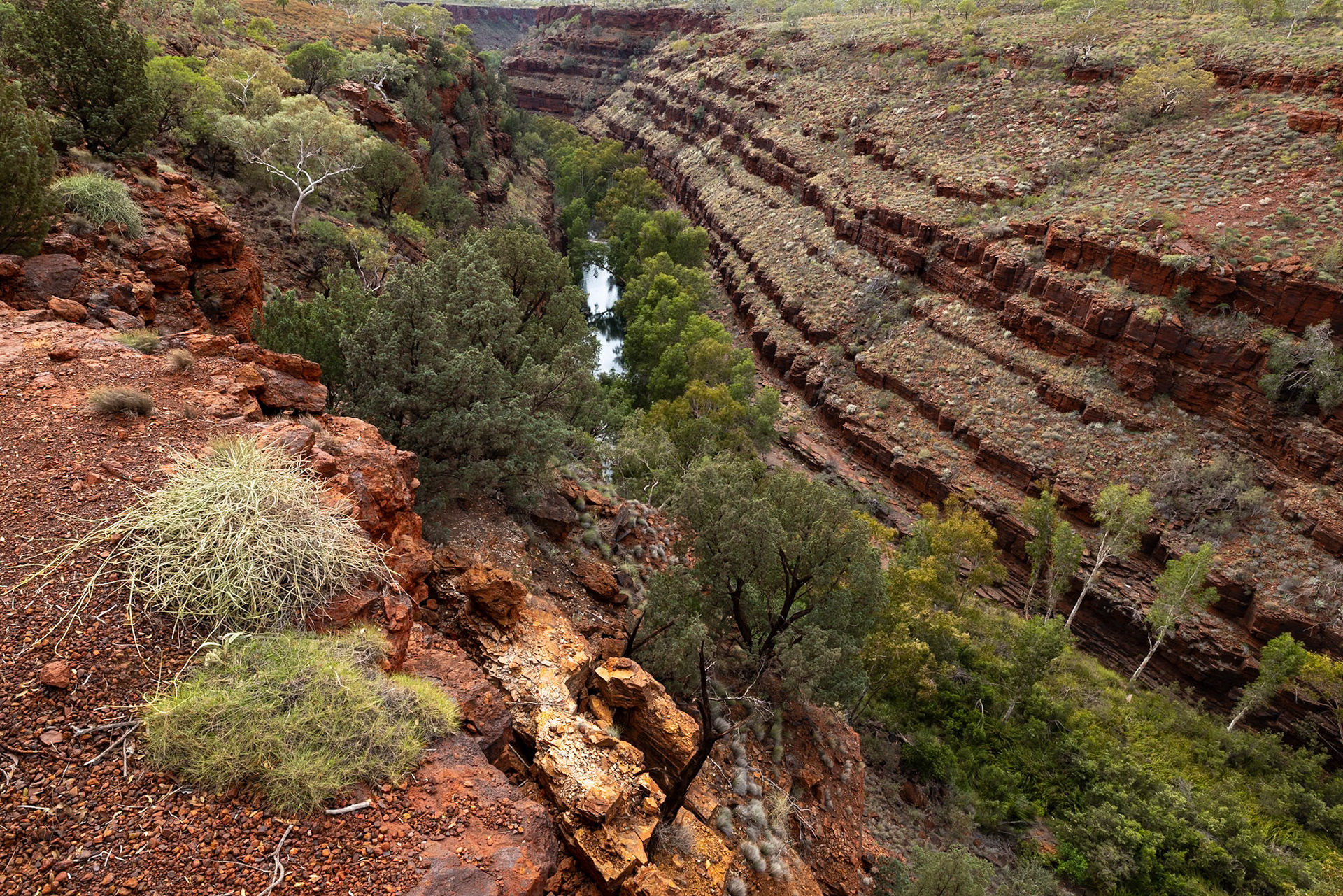 Fern Pool, Dale's Gorge, Karijini National Park, Western Australia