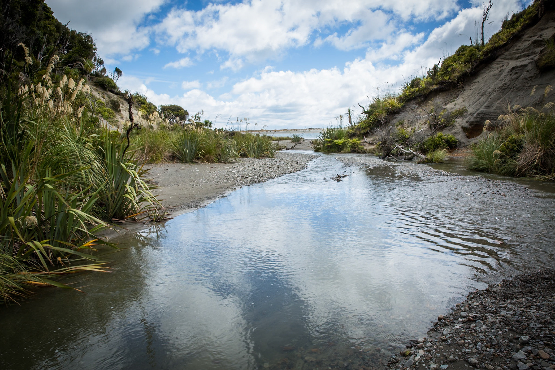 Hollyford Track, Pyke Lodge to Martin's Bay, New Zealand