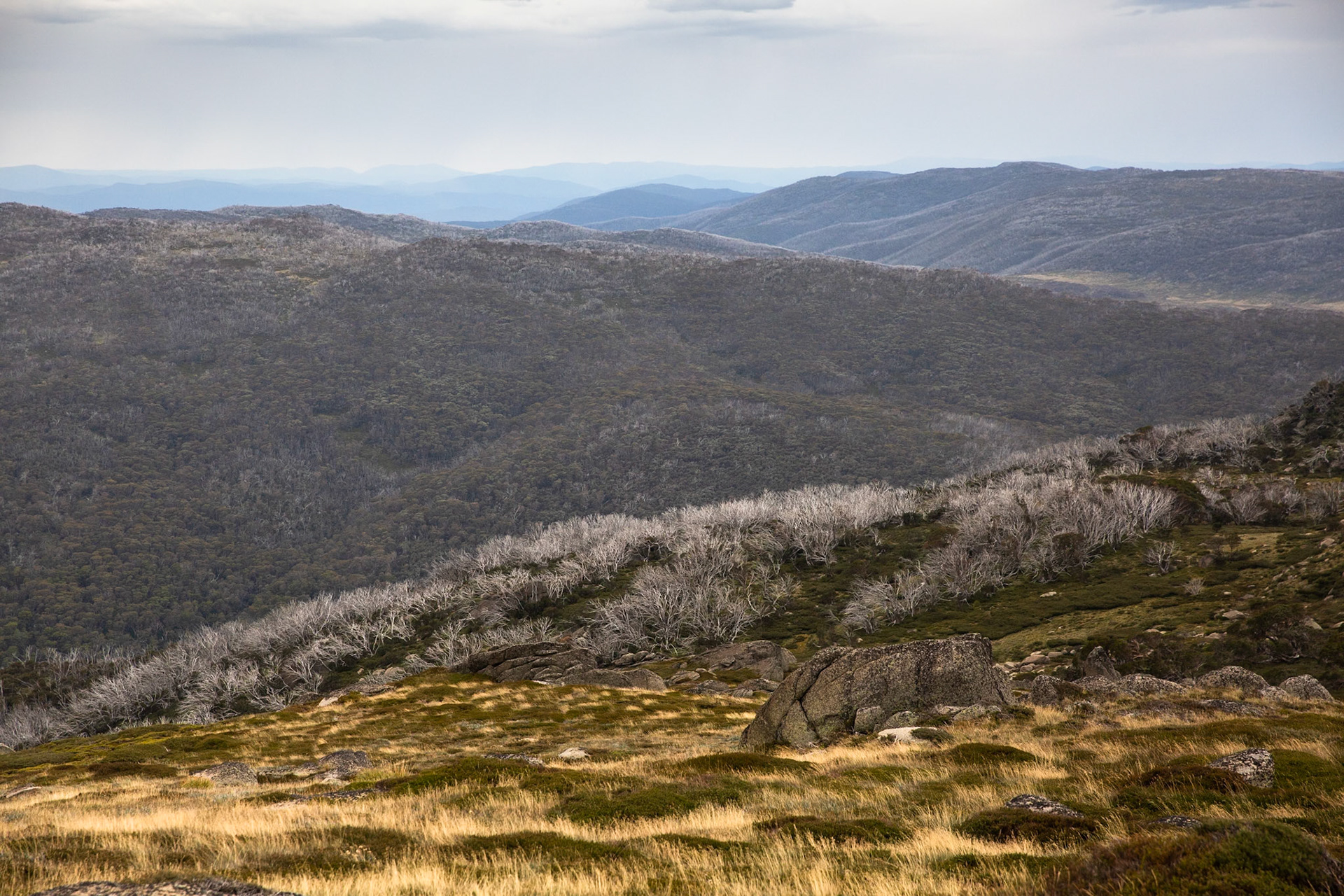 Thredbo to the cablecar and return, Mount Kosciuszko National Park, Snowy Mountains, New South Wales