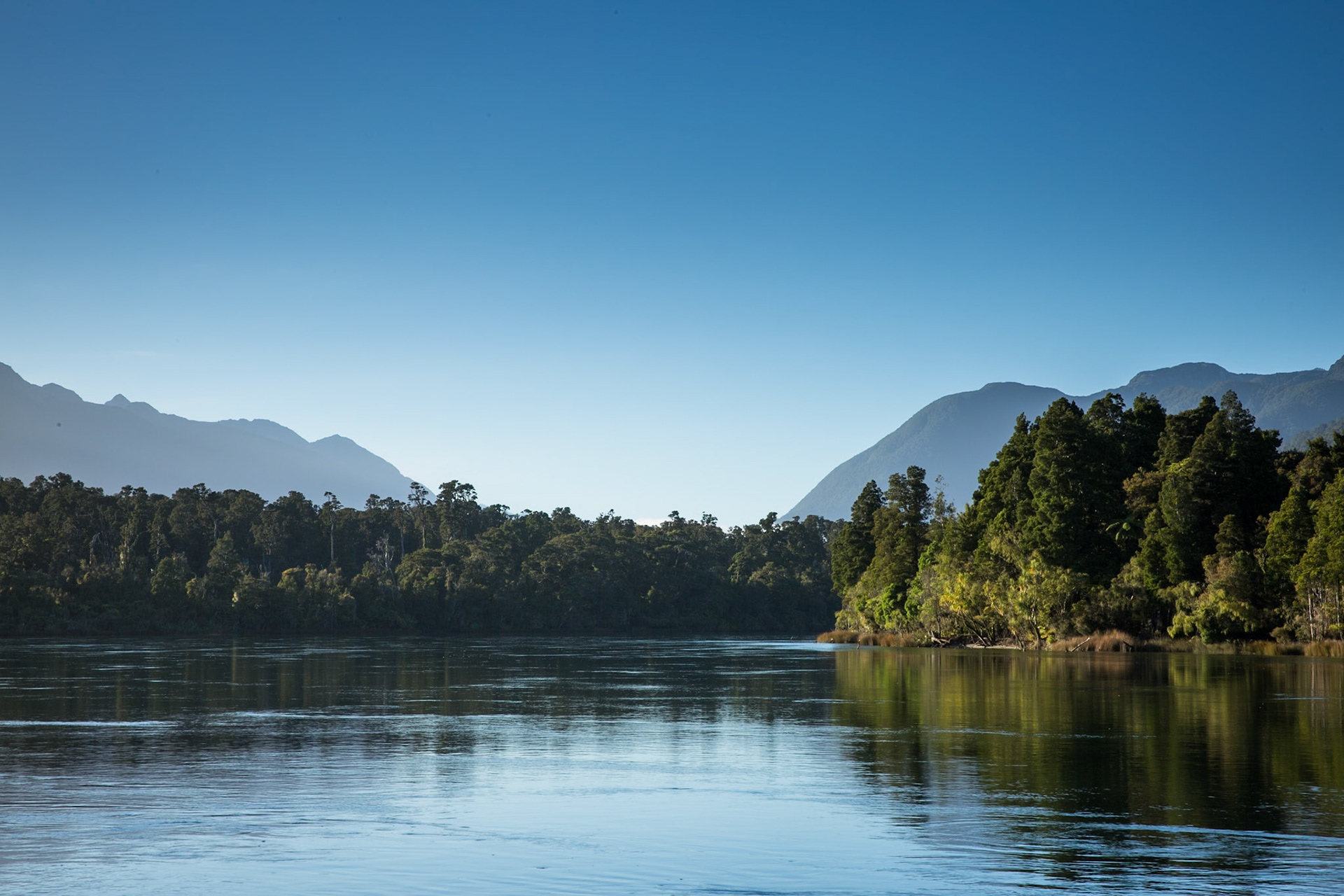 Hollyford Track, Martin's Bay, New Zealand