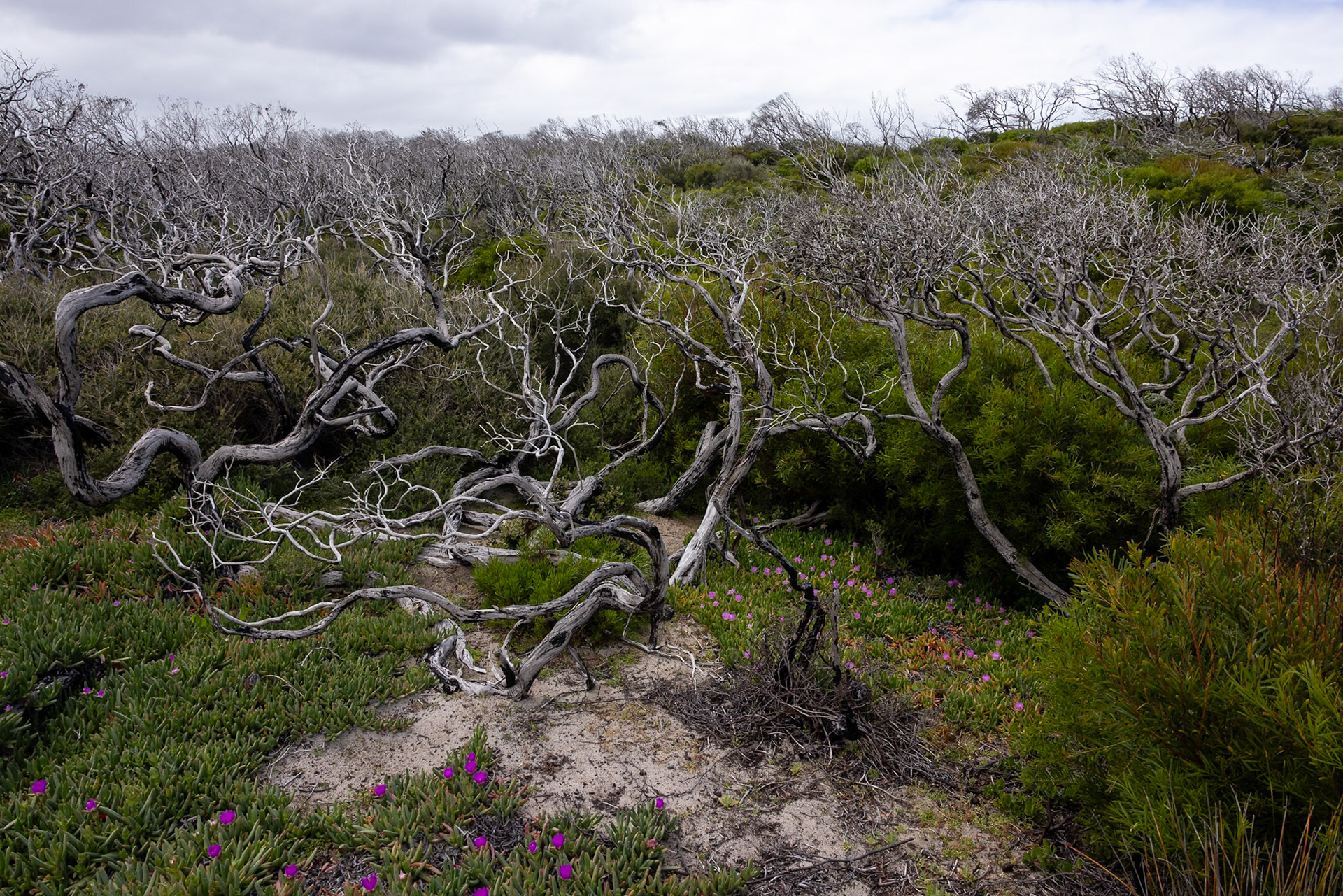 Kangaroo Island, South Australia