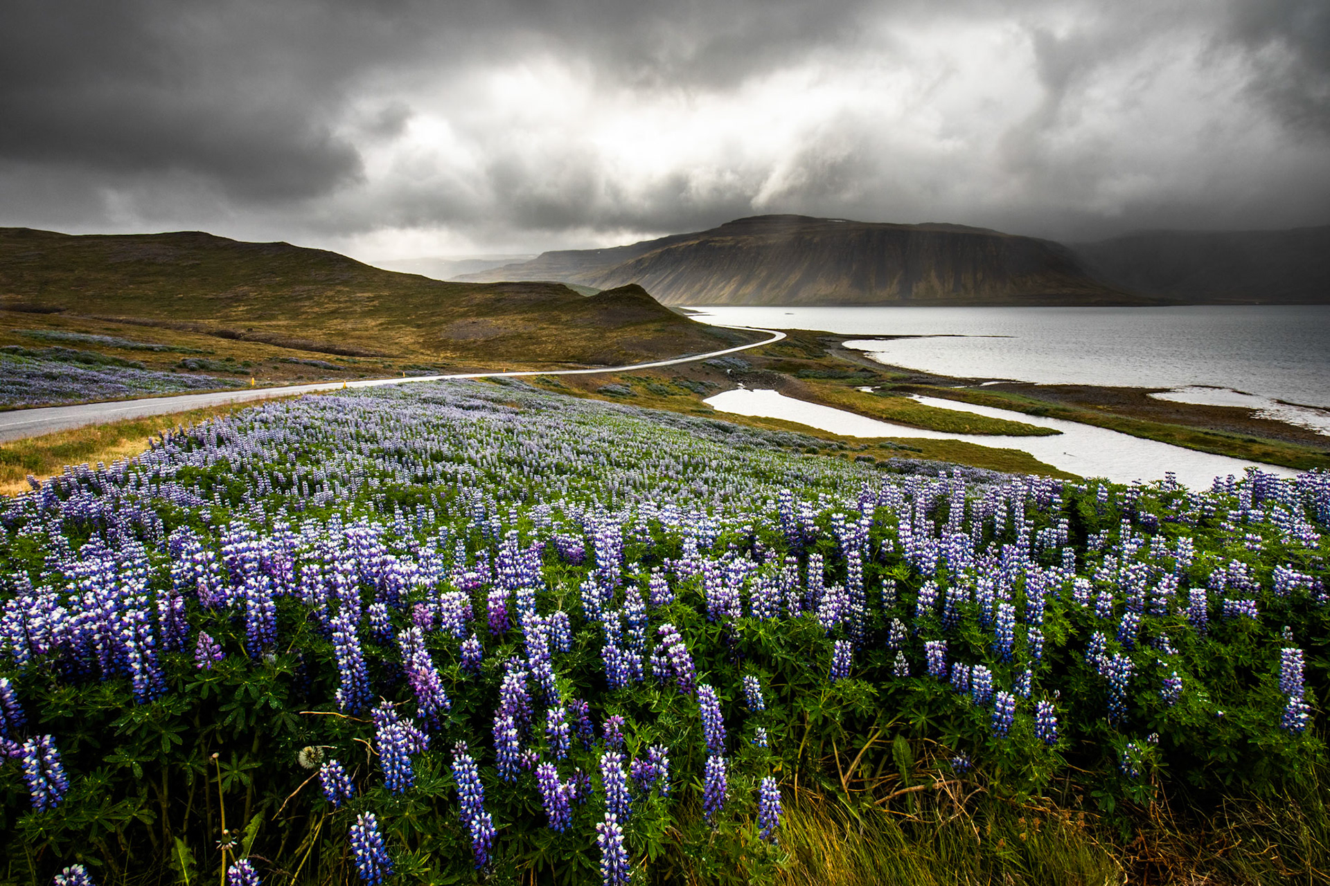 Patreksfjörður,Iceland, 2019