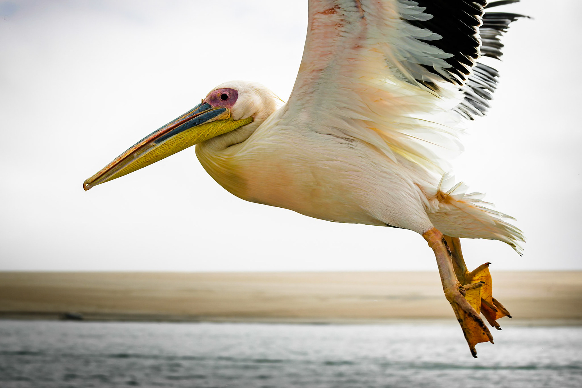 Sesriem to Sandwich harbour, Namibia