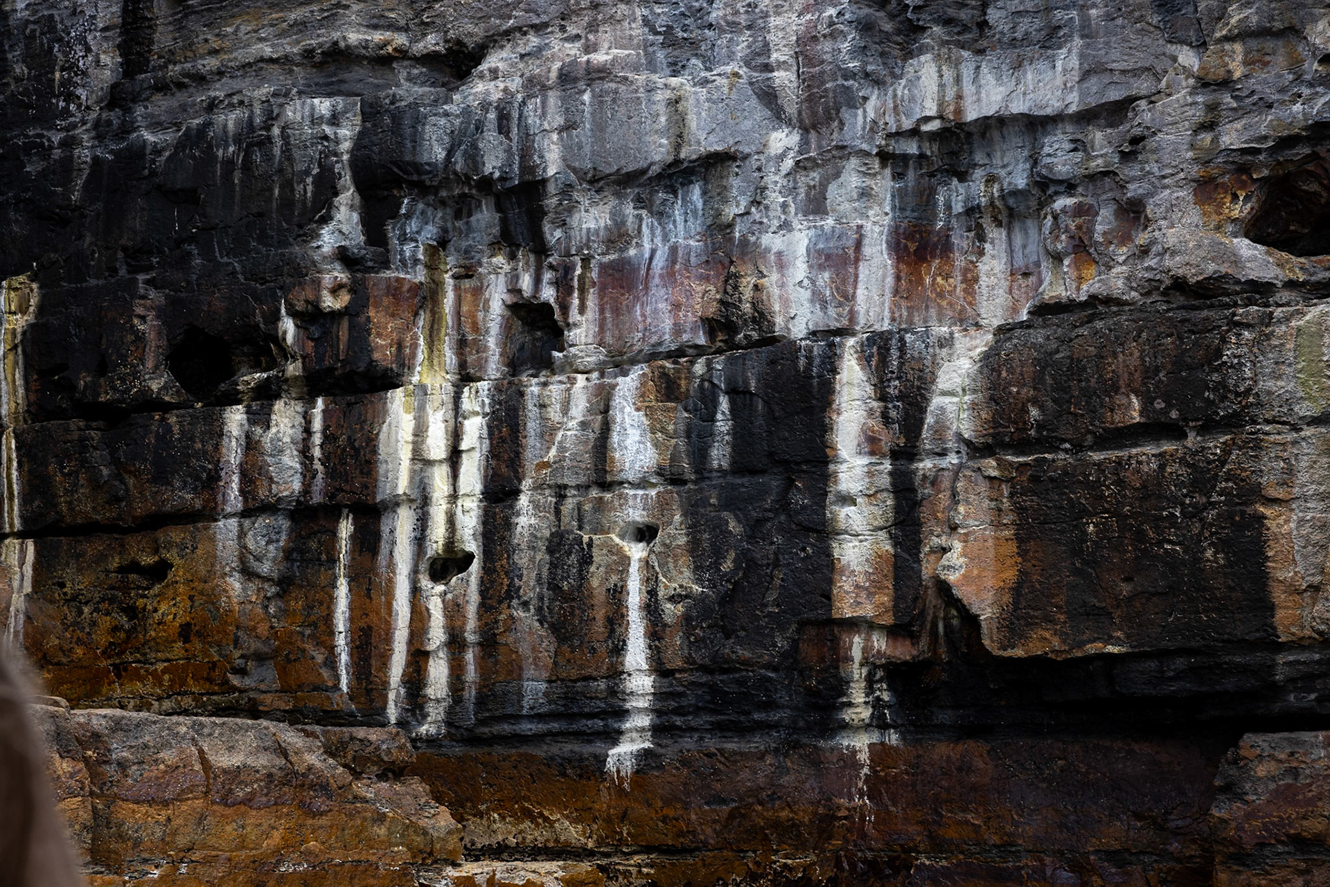 Three Capes Track, Denman's Cove to Crescent Lodge, Tasmania