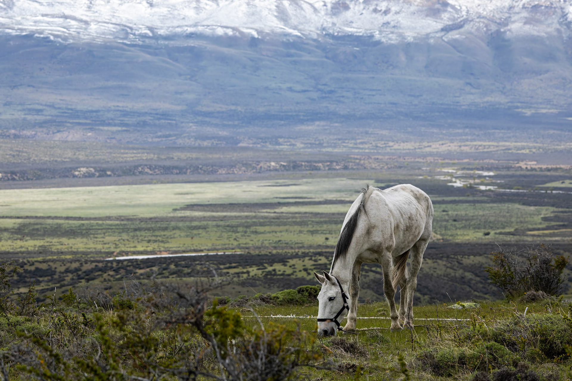 Eolo, El Calefate, Patagonia, Argentina