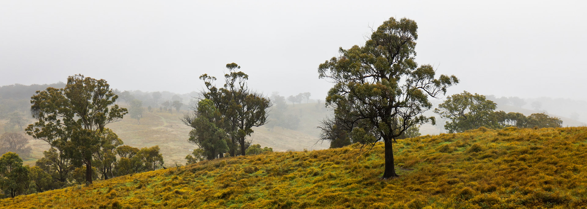 Turon Gates, New South Wales