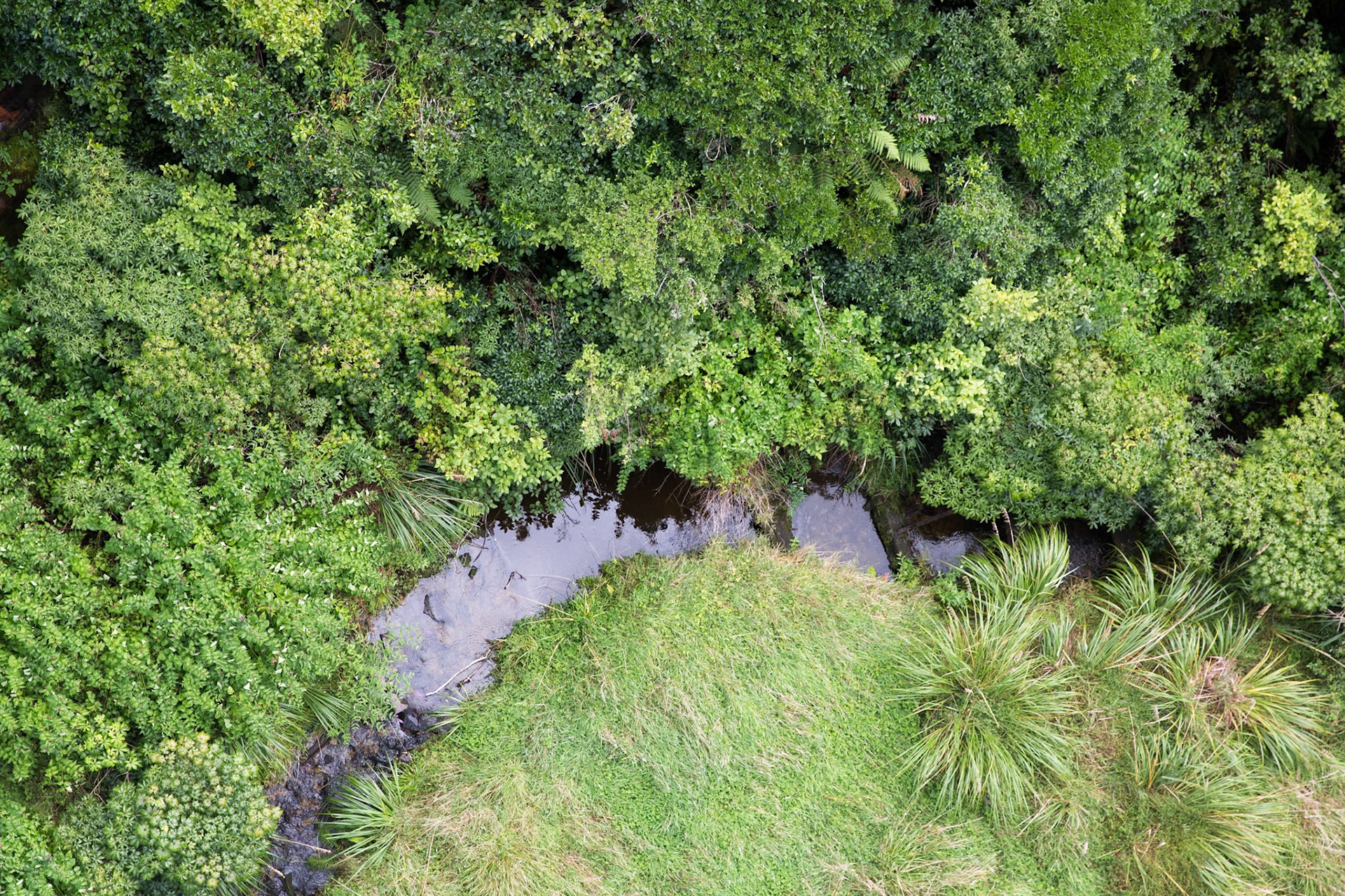 Old Coach Road, Tongariro, New Zealand