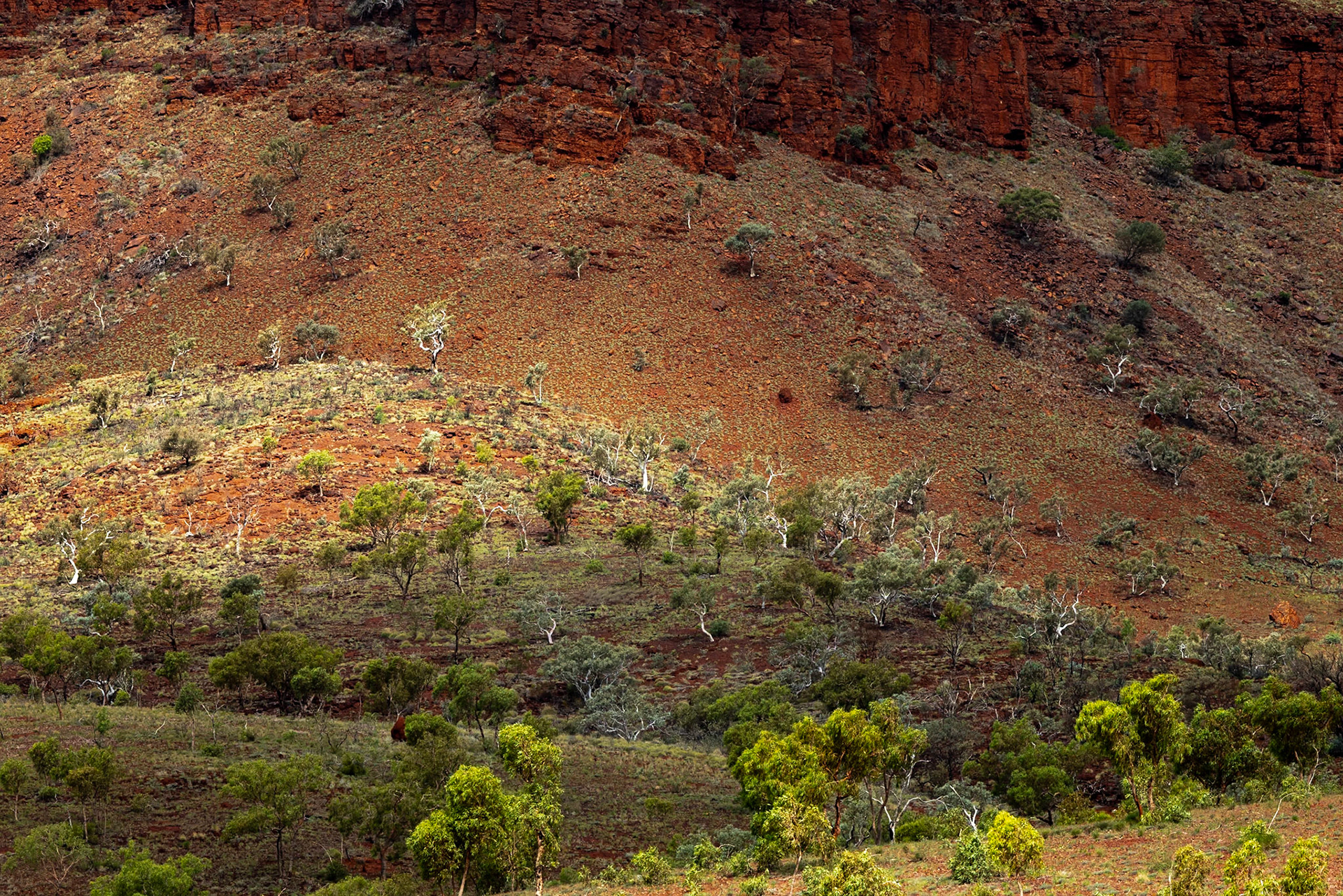 Near Weano Gorge, Karijini National Park, Western Australia