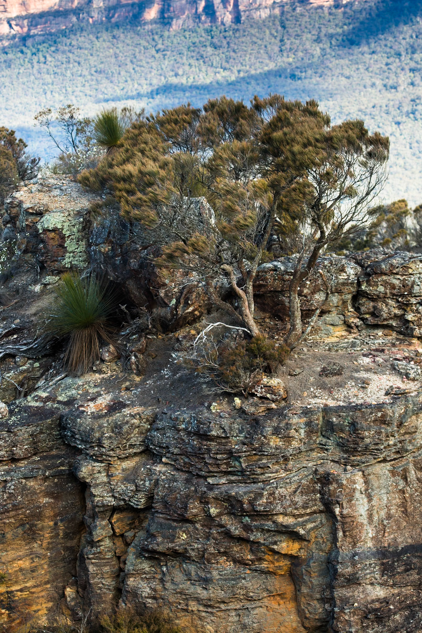 Started on the track to Golf Links lookout. Walked past the Pool of Siloam to Gordon Falls lookout. Followed the Prince Henry cliff walk to Leura Cascades from where we descended through Leura Forest to the junction with Federal Pass tea stop. Continued along Federal Pass past the junction with Dardanelles Pass (near the base of the Giant Staircase); past the base of Furber Steps to the Scenic Railway lower station (Lunch stop).  Some returned via the Scenic Railway, whilst others retraced steps and ascended the Giant Staircase to Echo Point. Notes by Peter Watt.