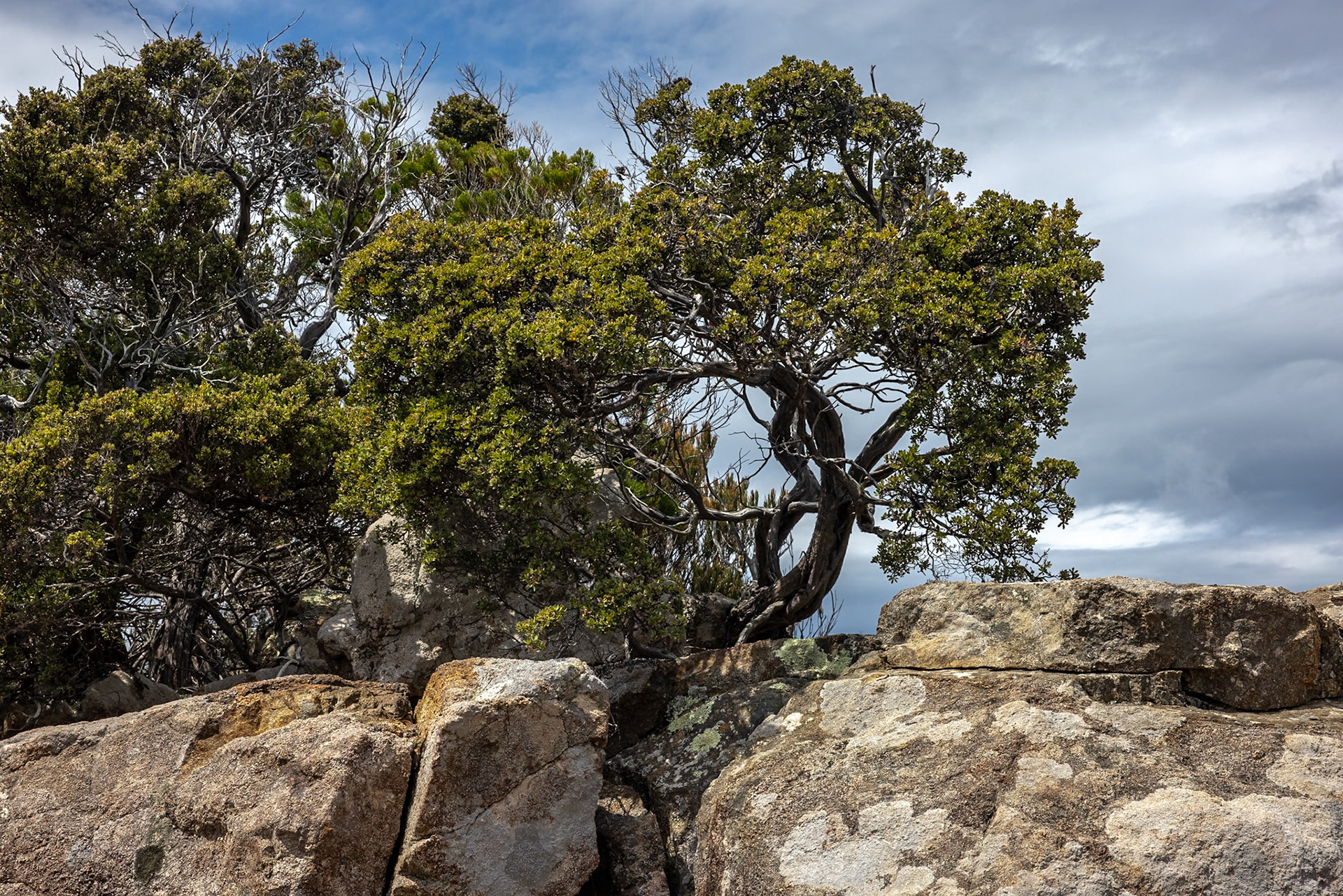 Three Capes Track, Cape Pillar Lodge to Cape Hauy and Fortescue Bay, Tasmania