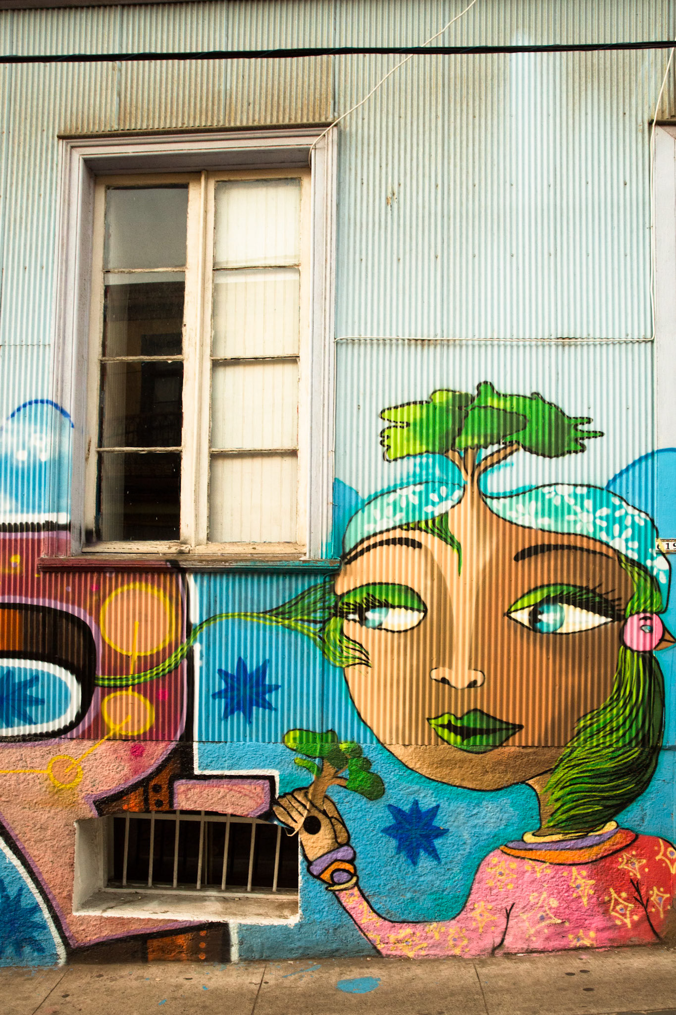 Street art, Valparaiso, Chile