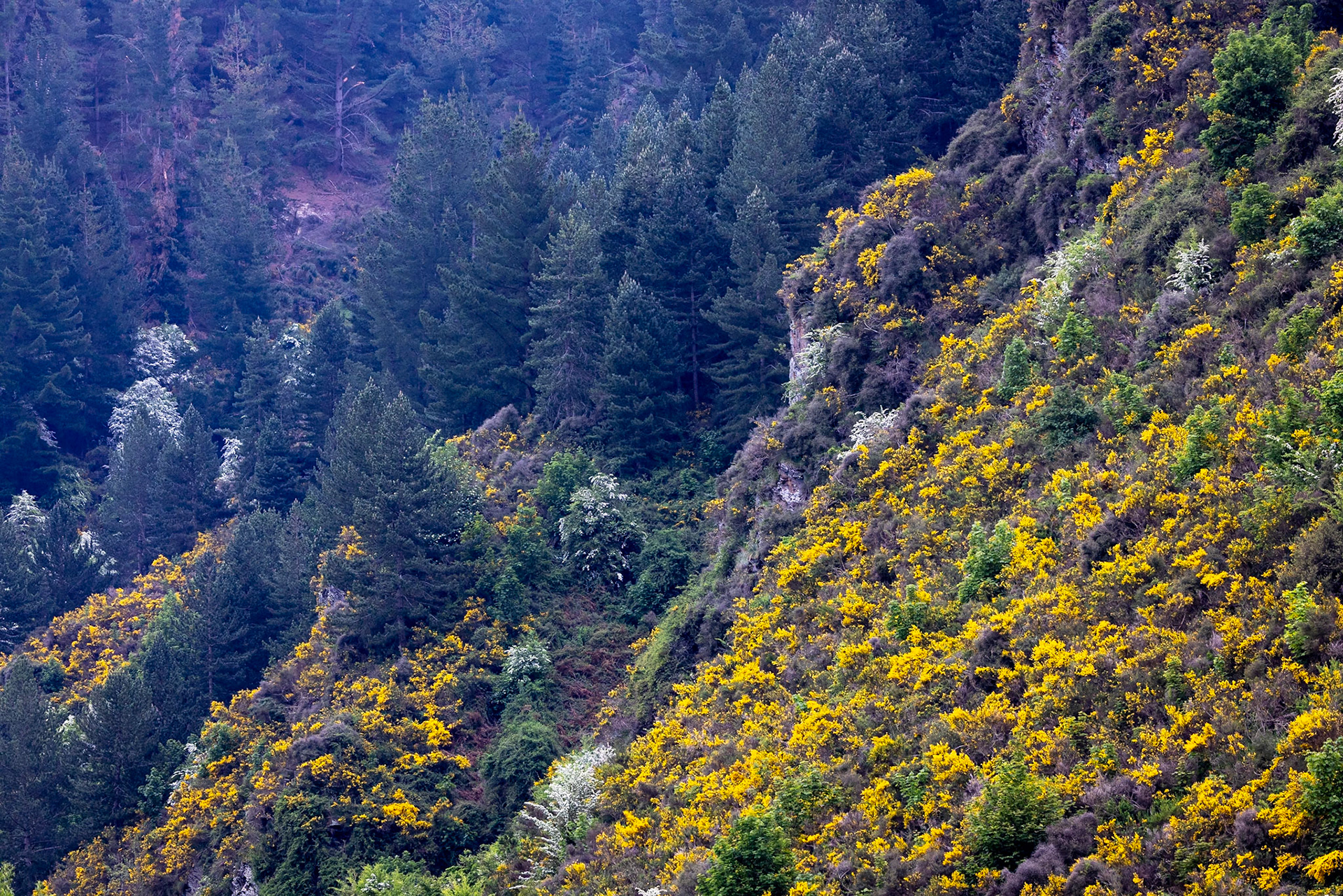 Te Anau to Queenstown, New Zealand