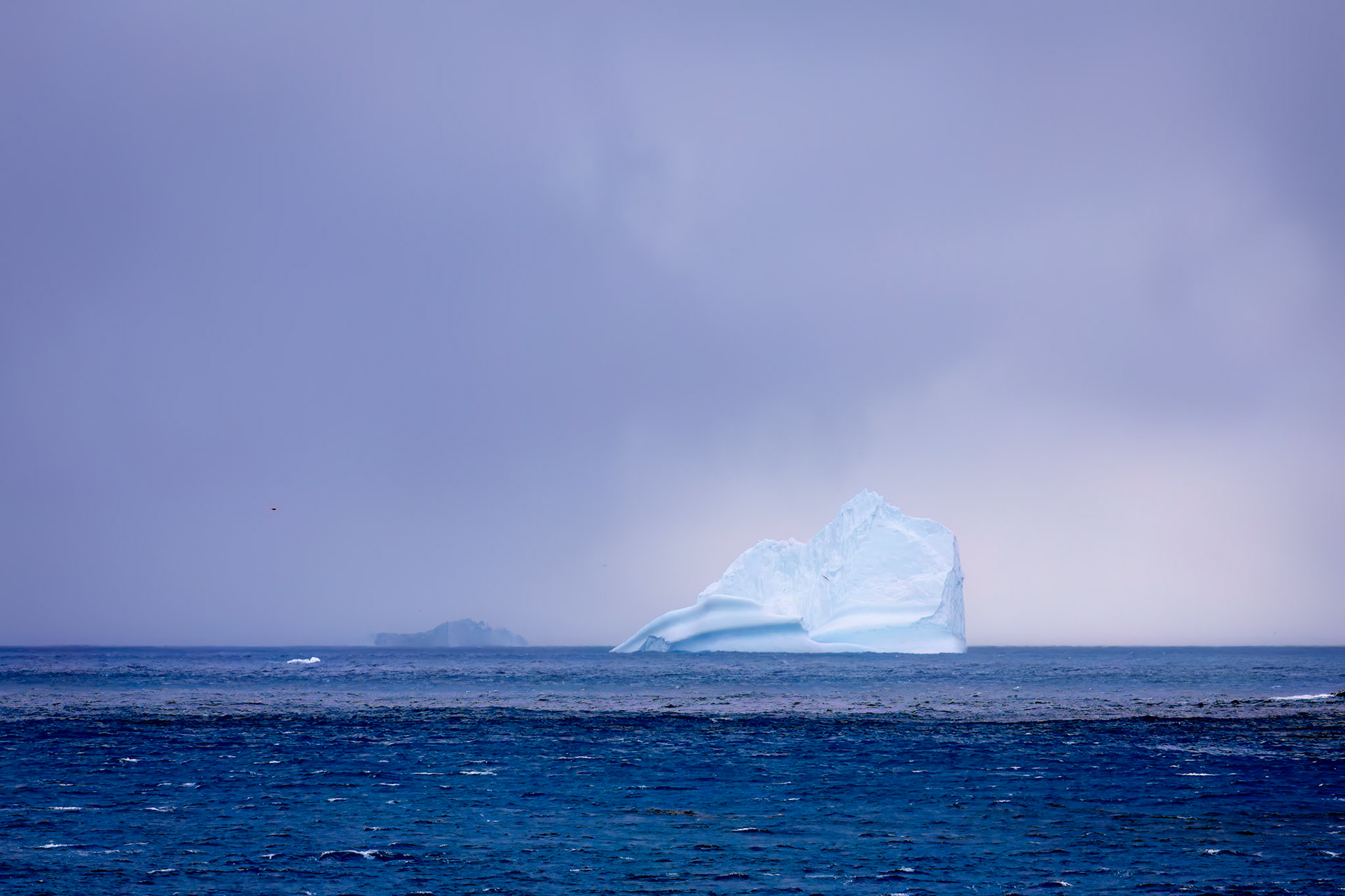 Rightwhale Bay, South Georgia
