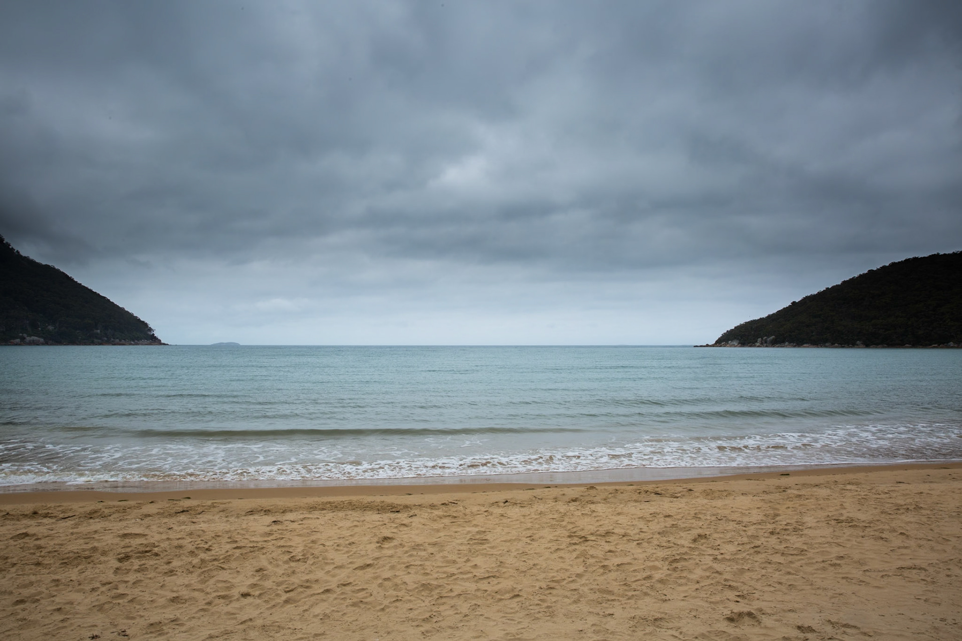 Telegraph Saddle carpark via Windy Saddle and Ferny Glade to Sealers Cove / beach (lunch and return.