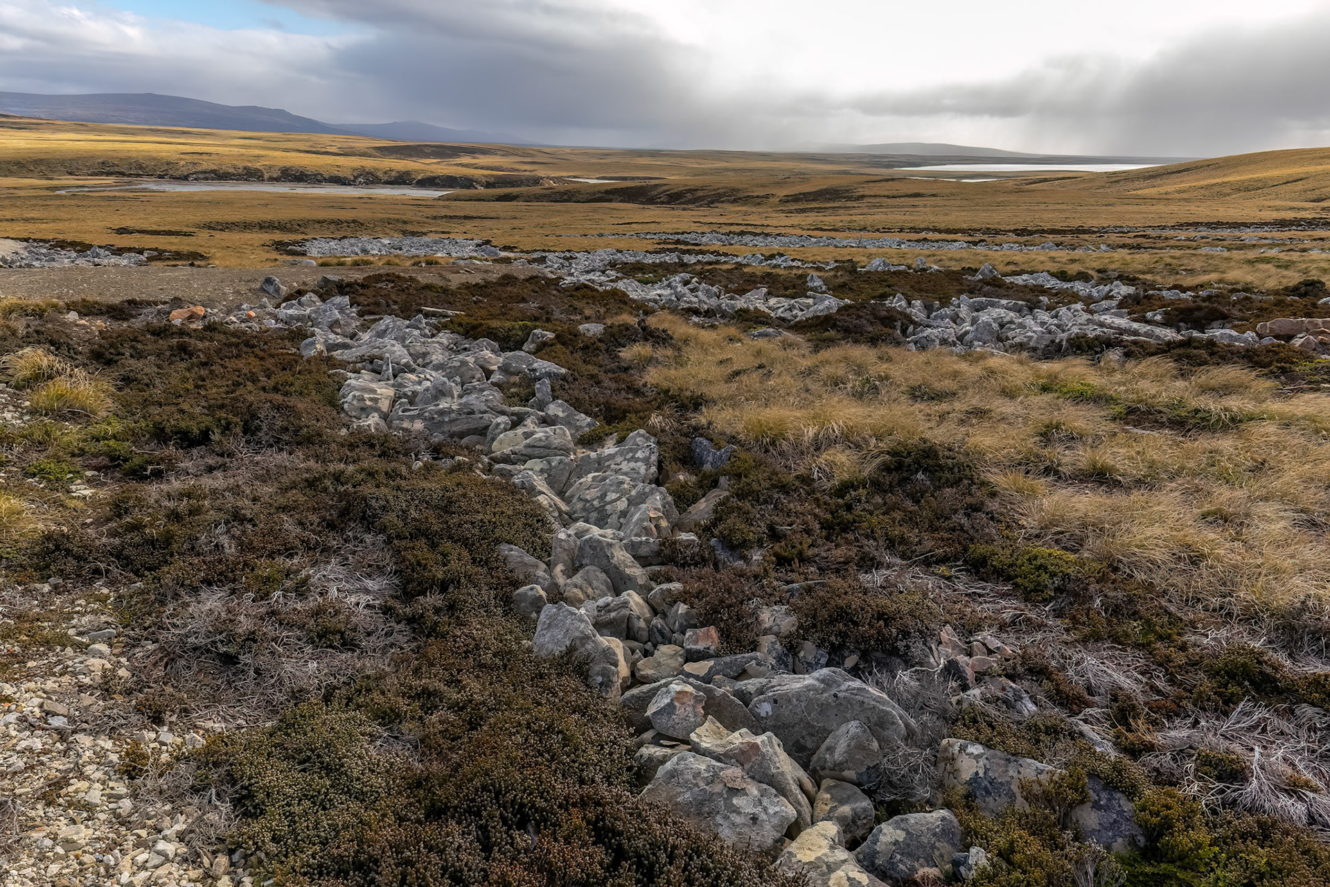 Landscape, Volunteer Point, Stanley, Falkland Islands