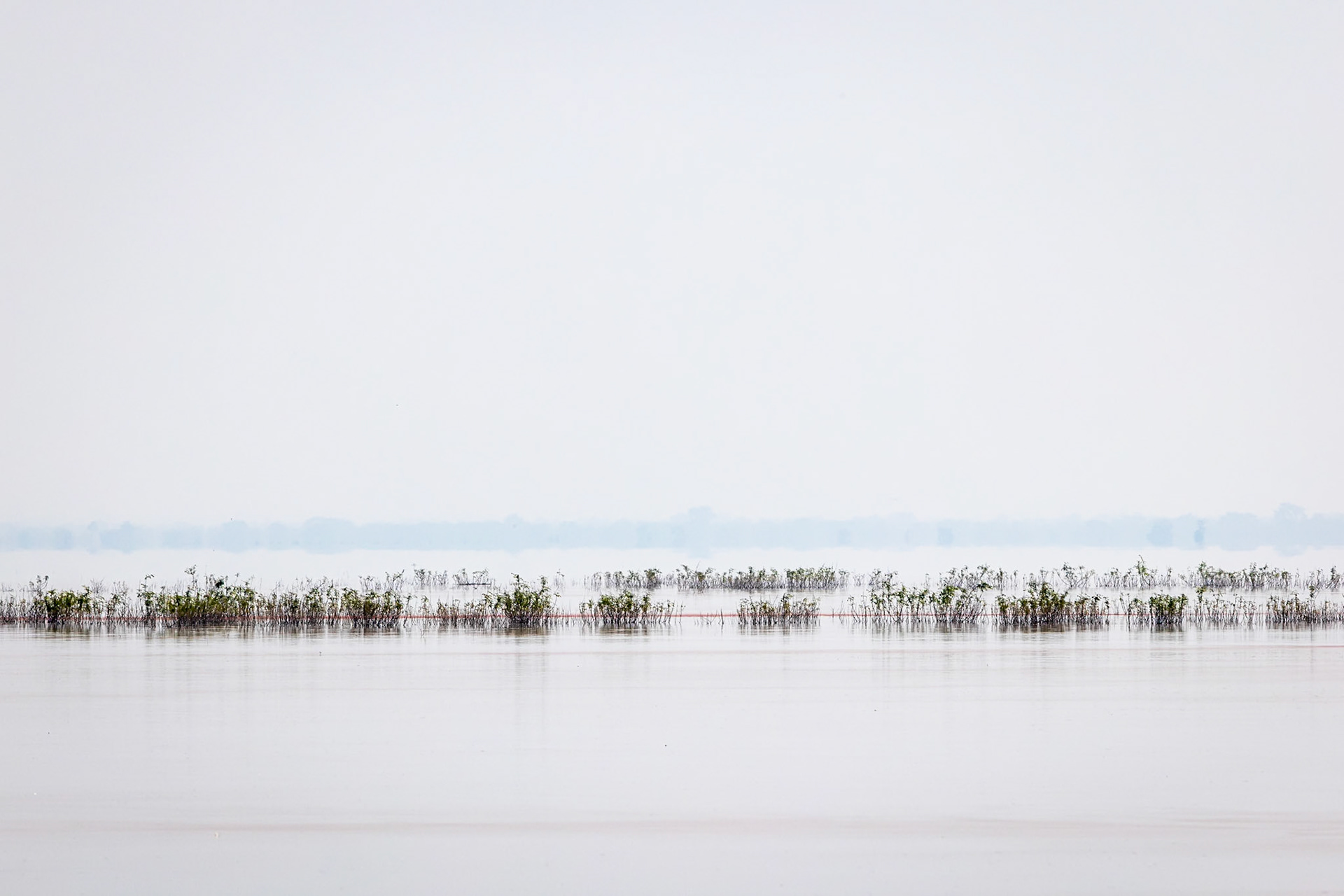 Landscape, Gorongosa, Mozambique