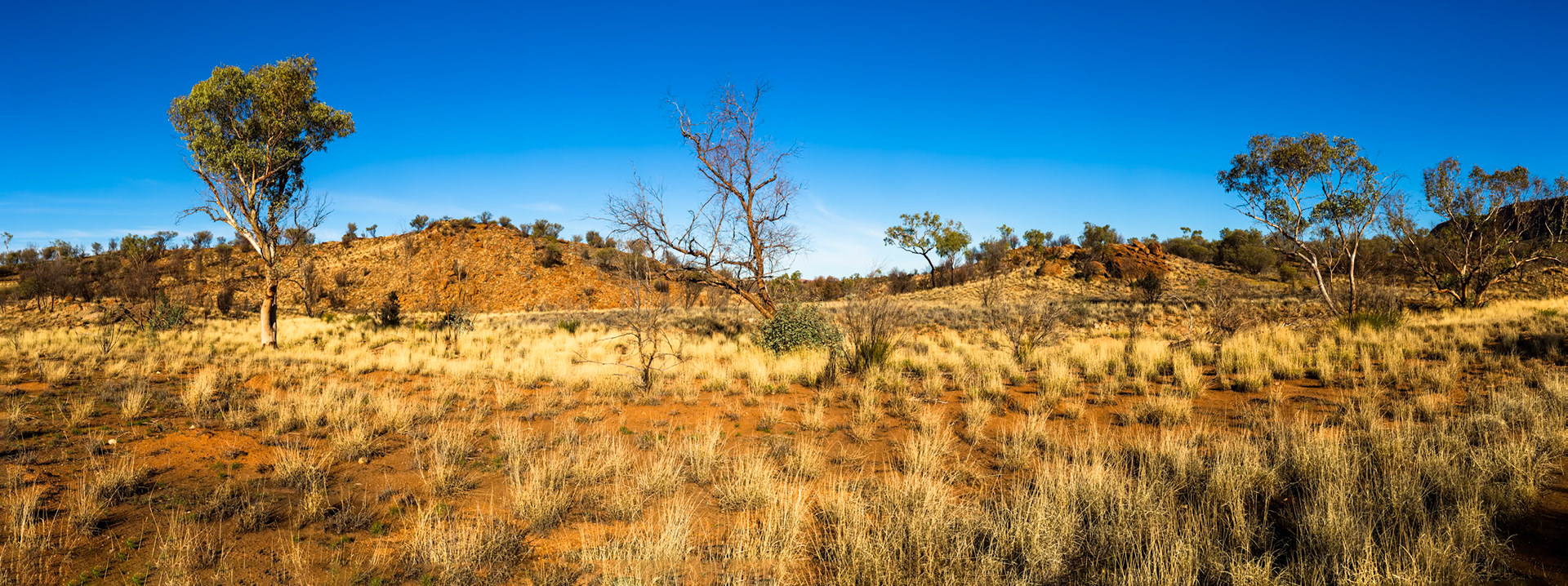Nick's Camp to Simpson's Gap, Standley Chasm and lookout, Larapinta Trail, Northern Territory, Australia