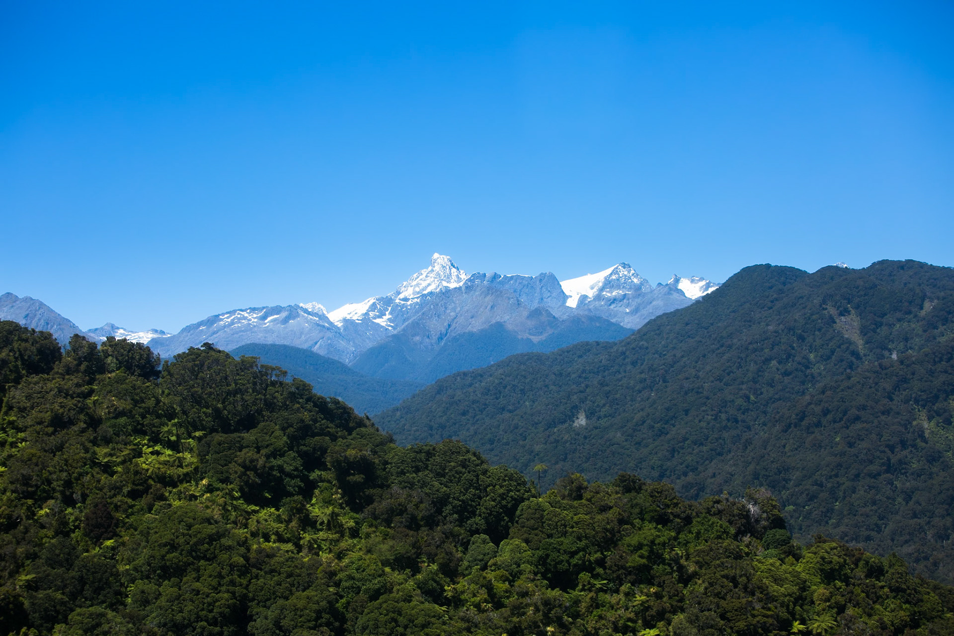 Hollyford Track, helicopter  ride from Martin's Bay to Milford Sound
