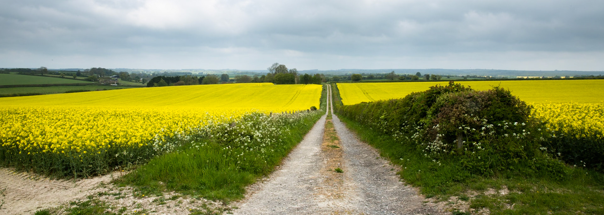 En route from Cambo House to Old Sarum, Dorset