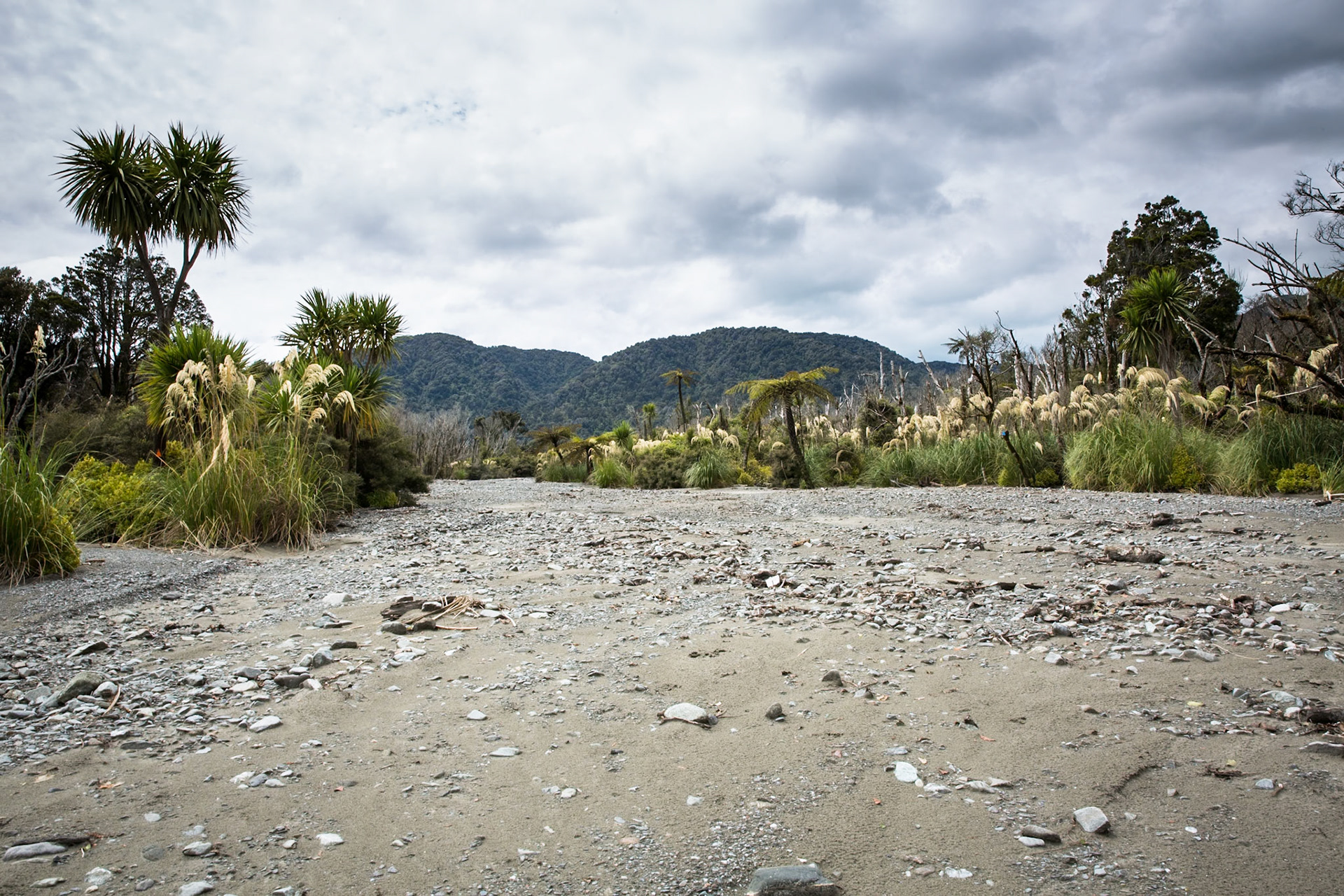 Hollyford Track, Pyke Lodge to Martin's Bay, New Zealand