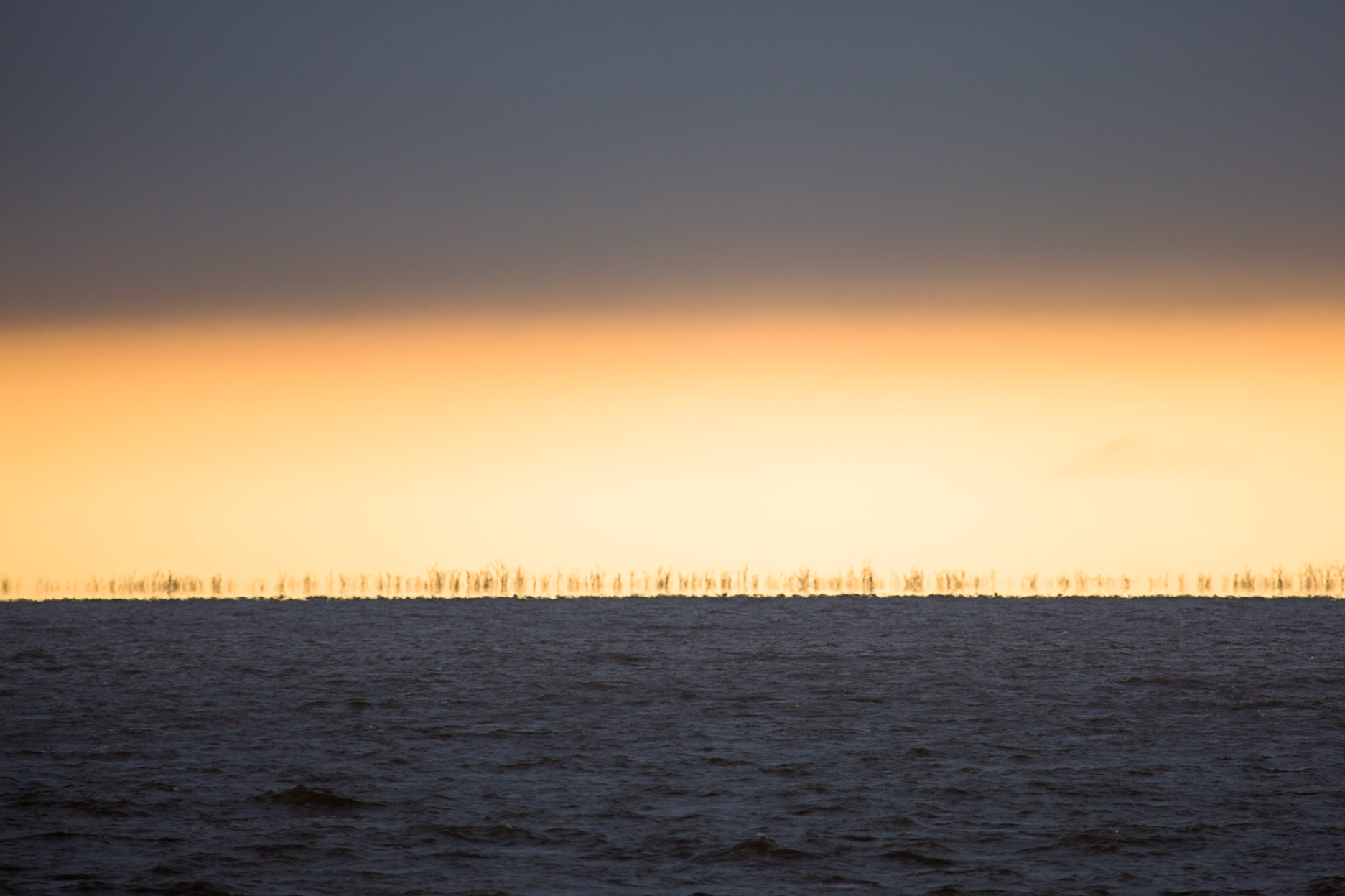 Paraná river, Puerto Valle Esteros, Ibera wetlands, Corrientes, Argentina