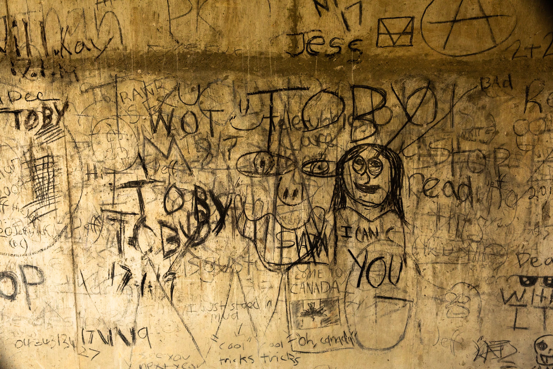 Sawpit creek track, Mount Kosciuszko National Park, Snowy Mountains, New South Wales