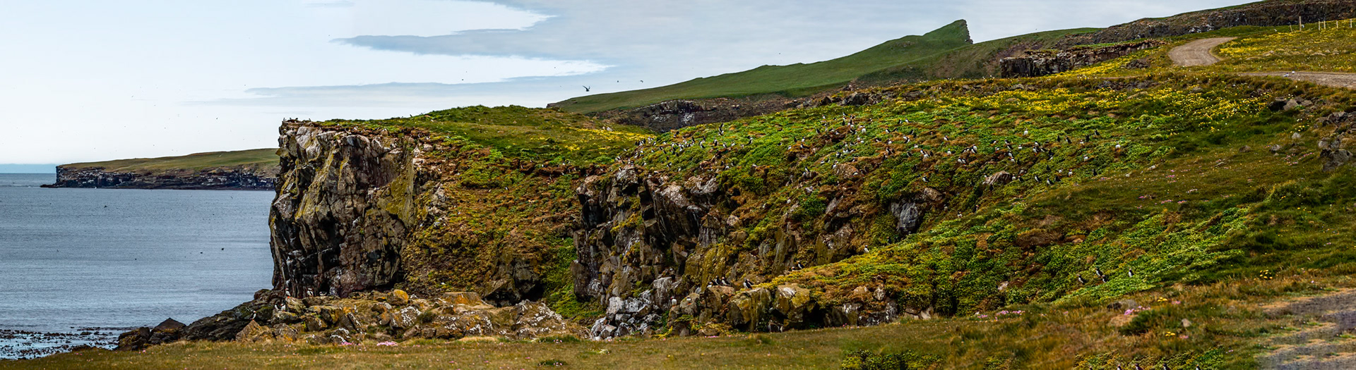 Grímsey Island, Iceland