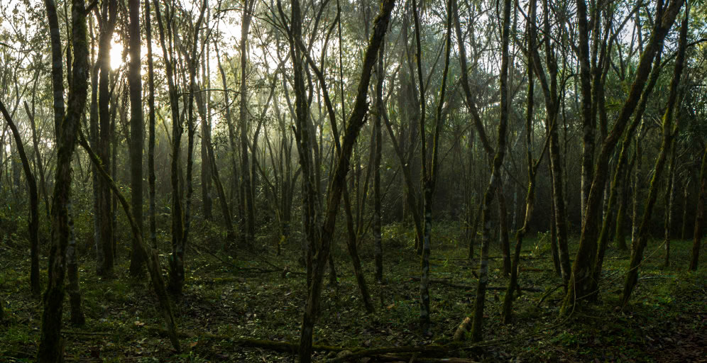 Moconá, Misiones, Argentina
