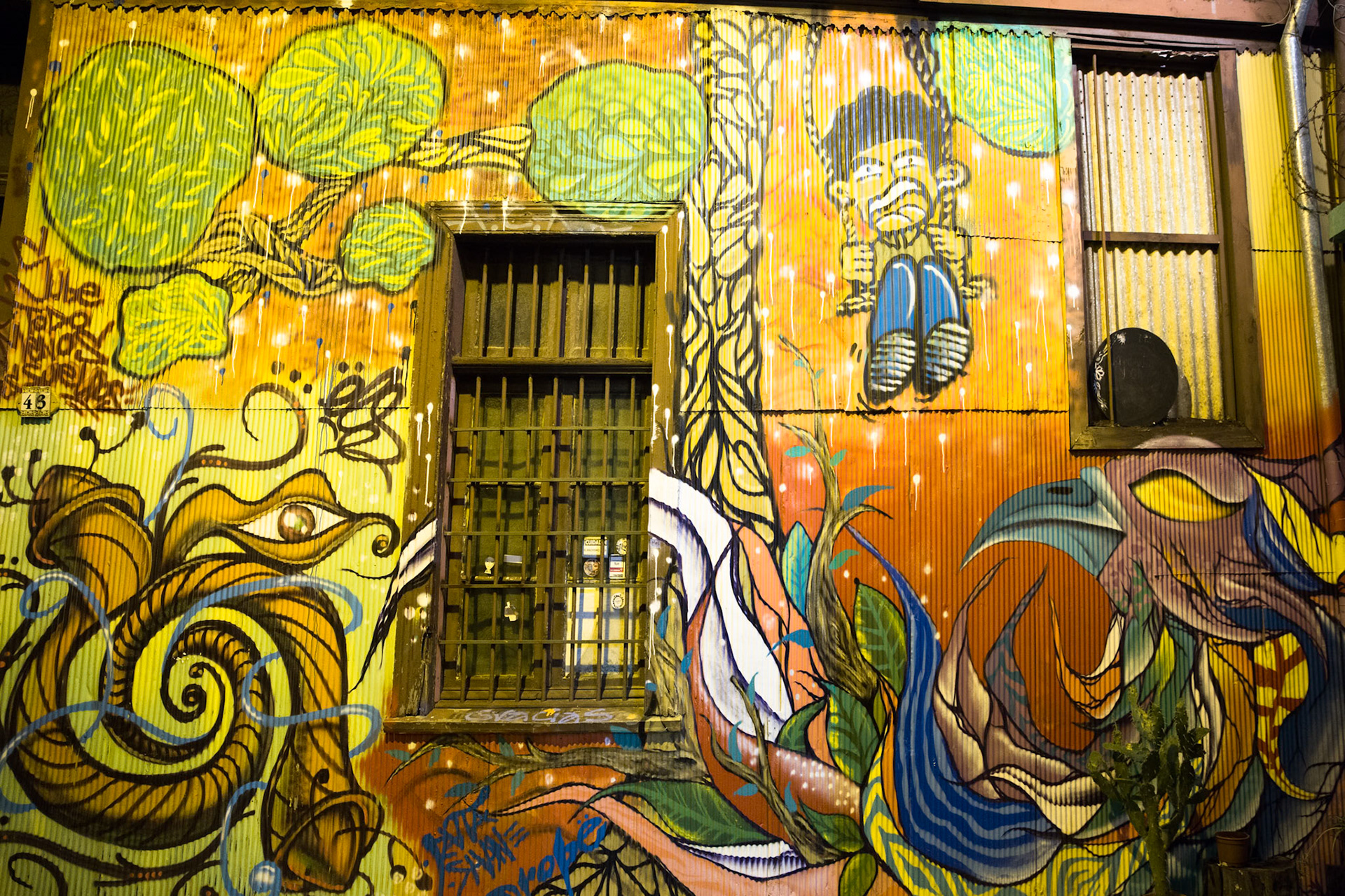 Street art, Valparaiso, Chile