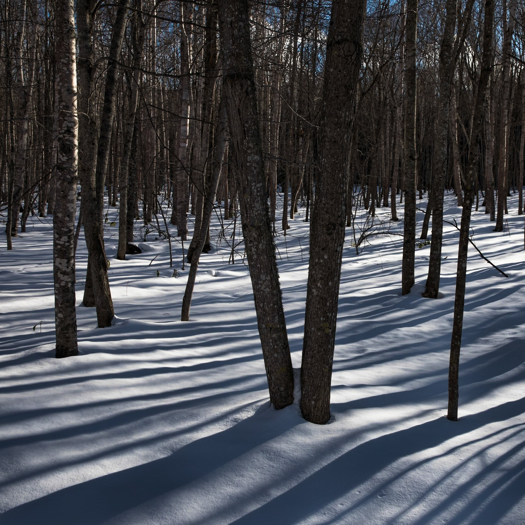 Near Mt Iou, Hokkaido, Japan