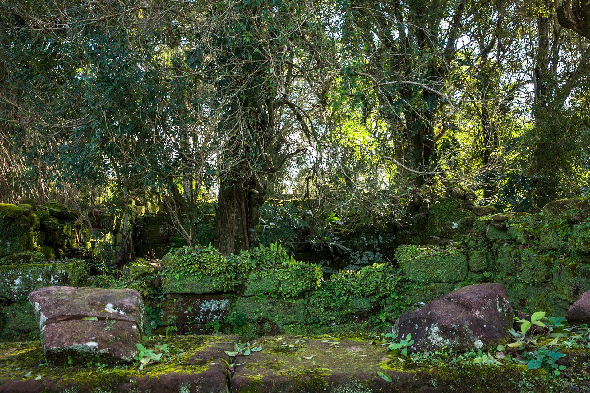 St Ignatio Miní, Misiones, Argentina