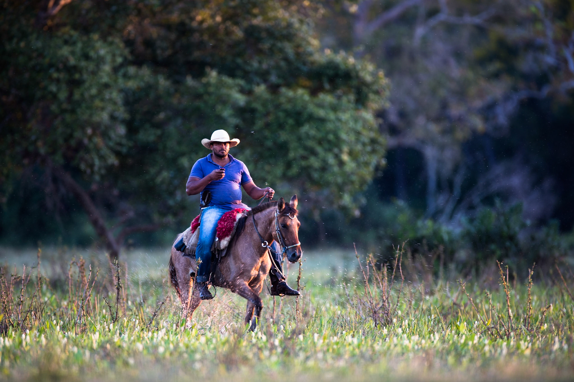 Peón, Pousada Piuval, Pantanal, Brazil