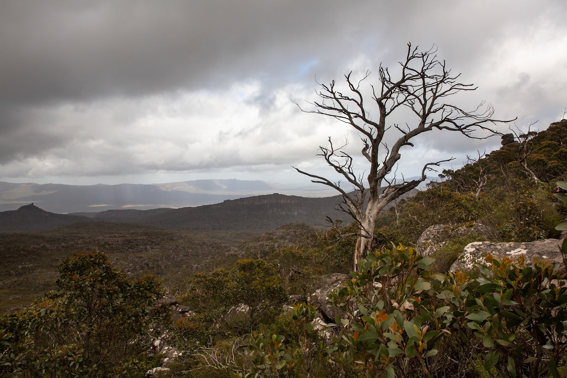 Mt Rosea circuit, Hall's Gap, The Grampians, Victoria