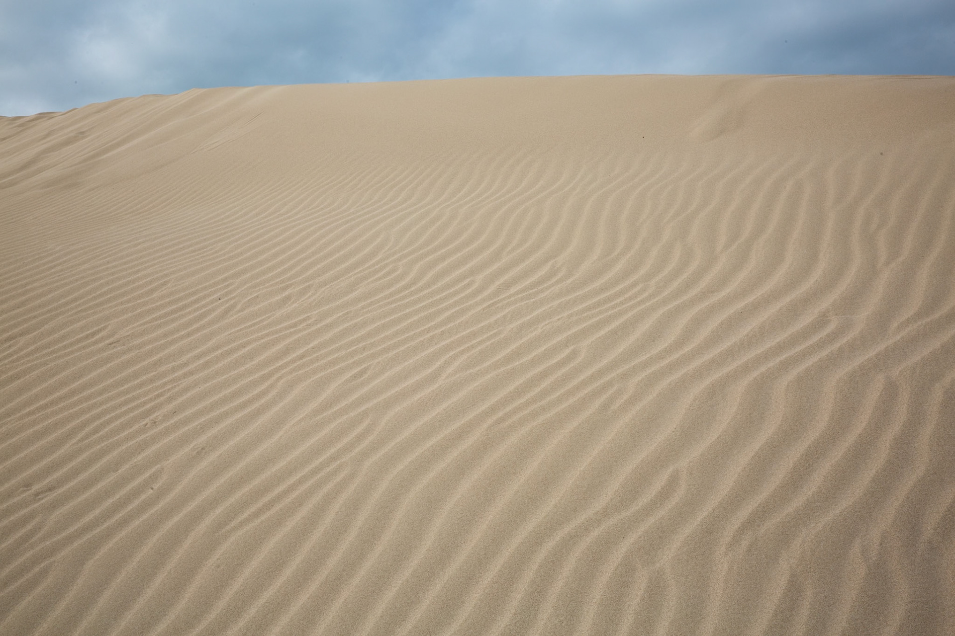 Sand dune, Koppie Alleen, De Hoop