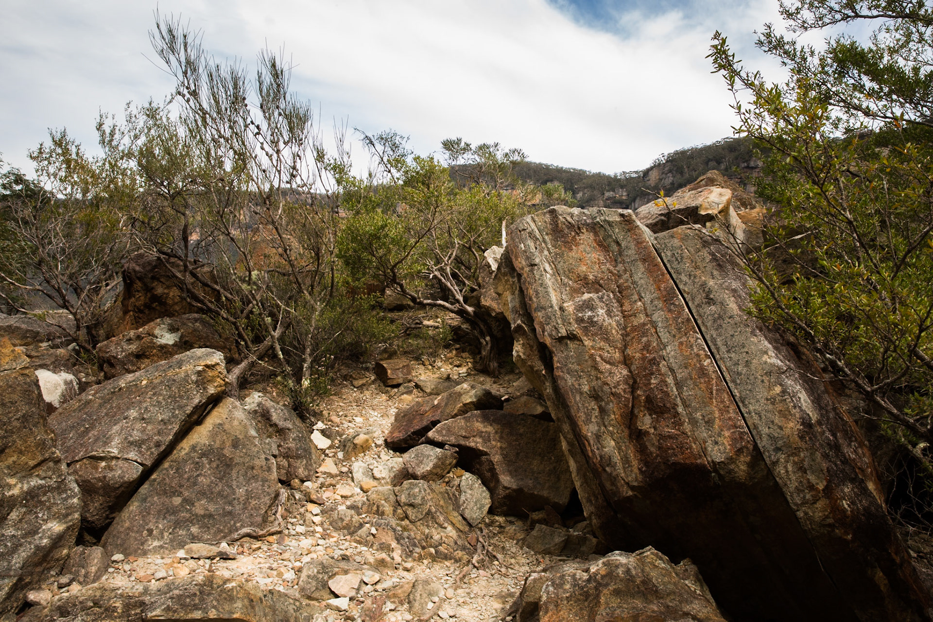 Started at the Scenic Railway and descended via Furber Steps to Federal Pass. Traversed Federal Pass past the lower station of Scenic Railway; through the landslide area; past the bottom of Golden Stairs as far as Ruined Castle.  Lunch on top Ruined Castle then completed a circuit around Ruined Castle back to Federal Pass.  Retraced our steps to Golden Stairs which we took up to Narrow Neck. Notes by Peter Watt.