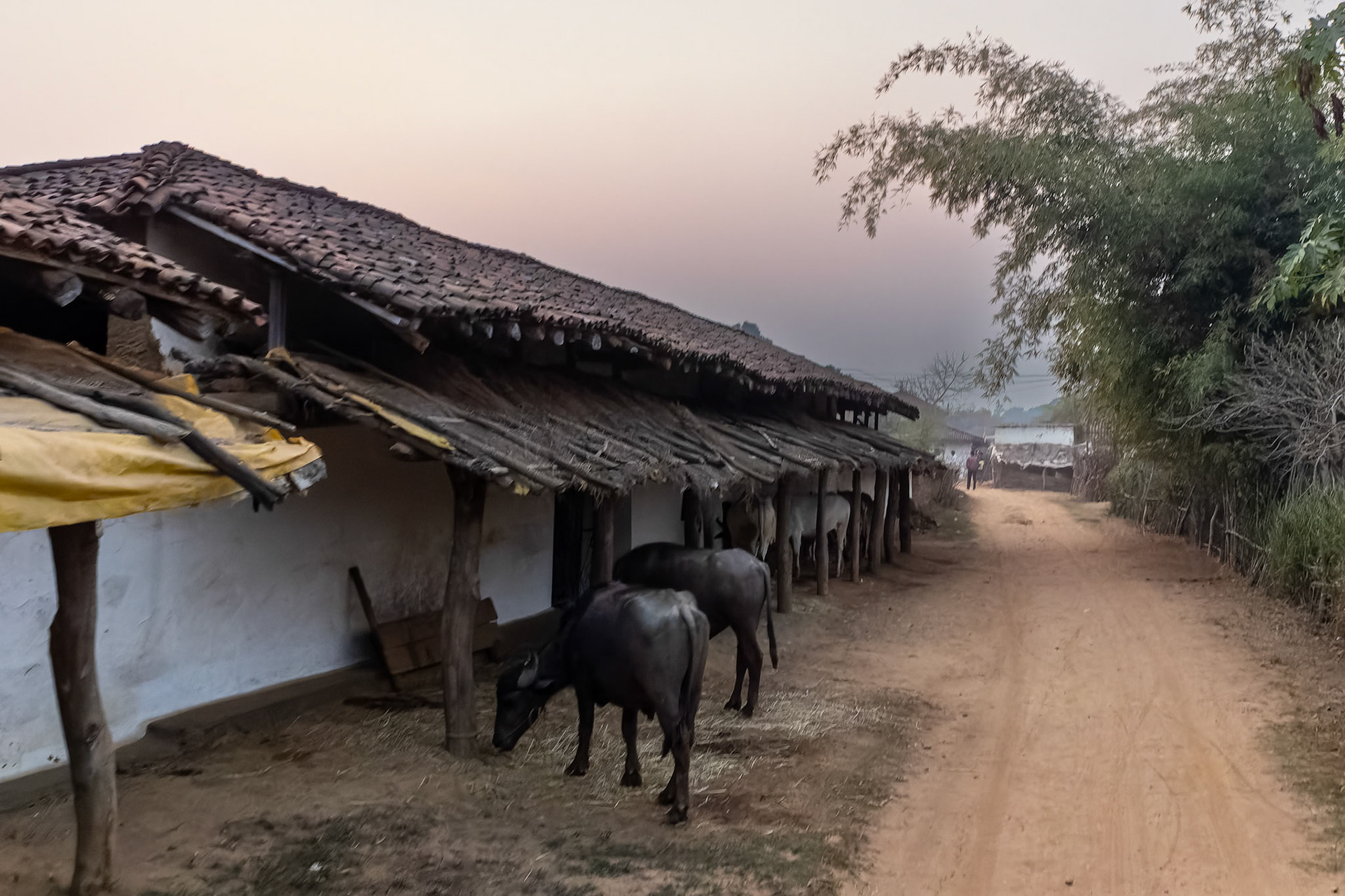 The Bagh, Khana, India