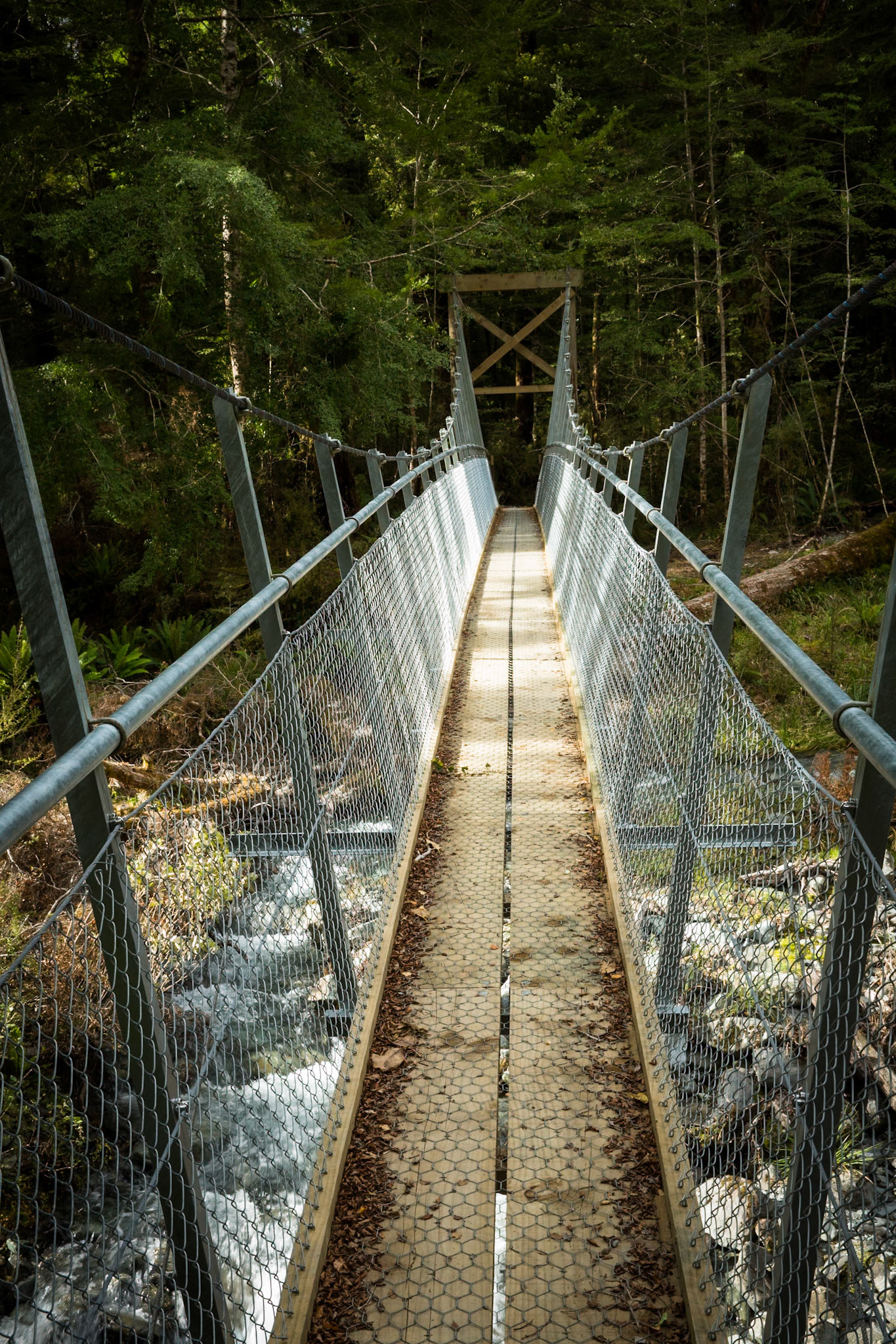 Hollyford Track to Pyke Lodge, New Zealand
