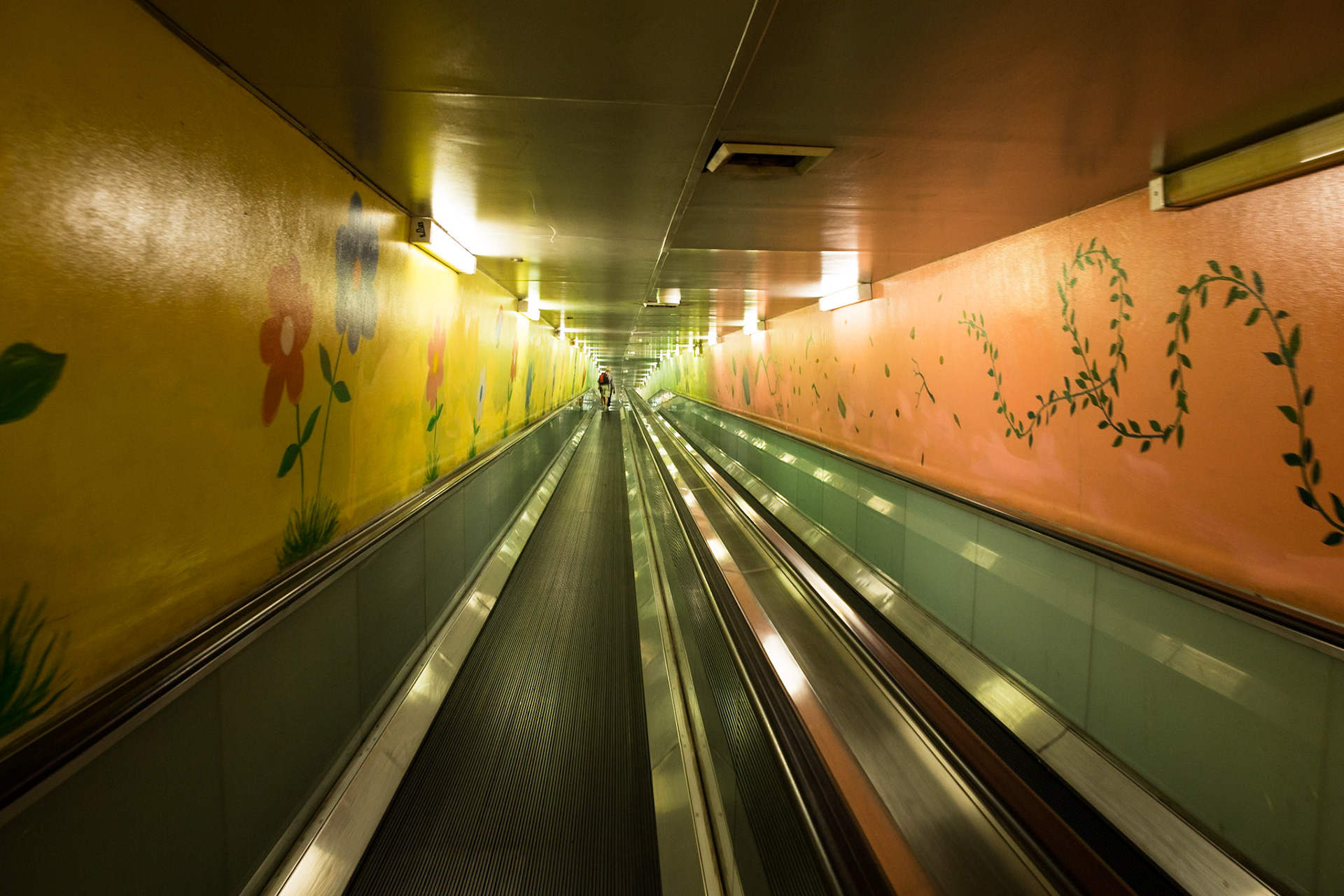 Escalator, Domain carpark, Sydney