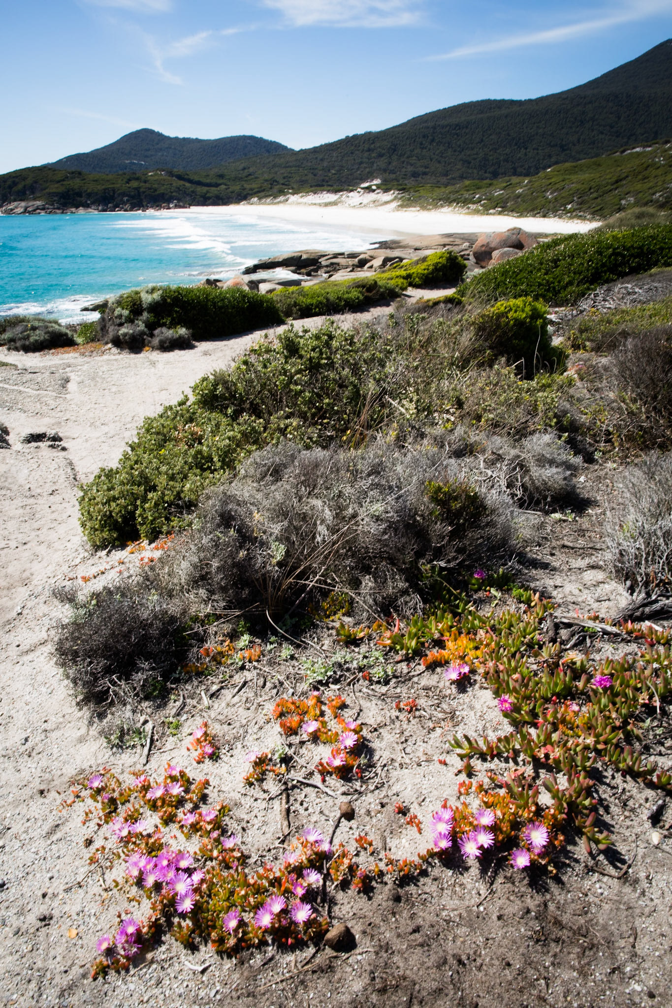 Tuesday am - Darby Saddle via Sparkes Lookout and Lookout Rocks to Tongue Point; and then on to Darby River for lunch.Tuesday pm - Lilly Pilly Gully carpark up to Tidal Overlook and on to Pillar Point then via Squeaky Beach and Picnic Beach to Picnic Beach carpark.