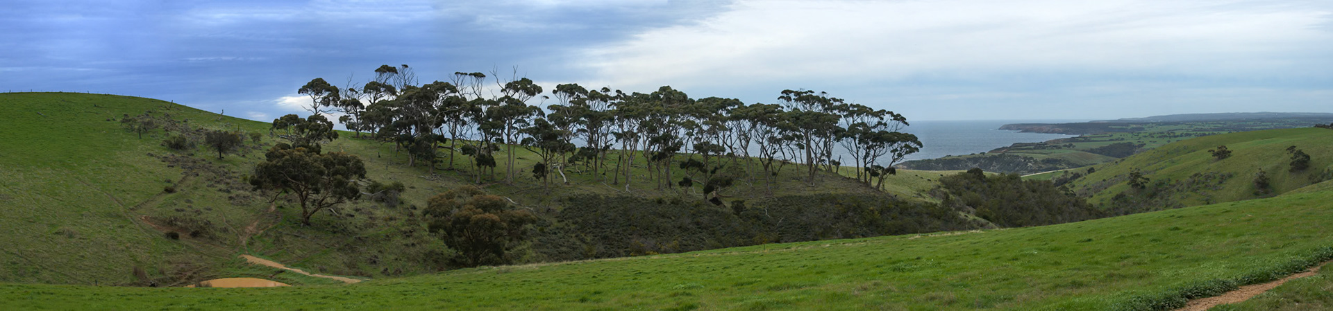 A view from the lookout on the north shore of Kangaroo Island, towards Stokes Bay